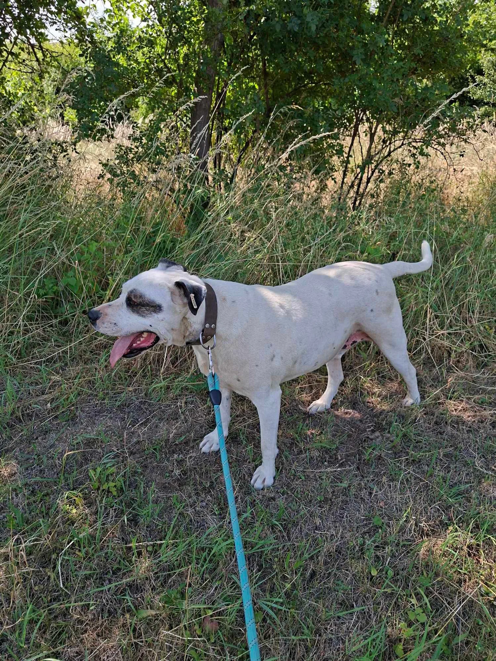 Max, Bild 18