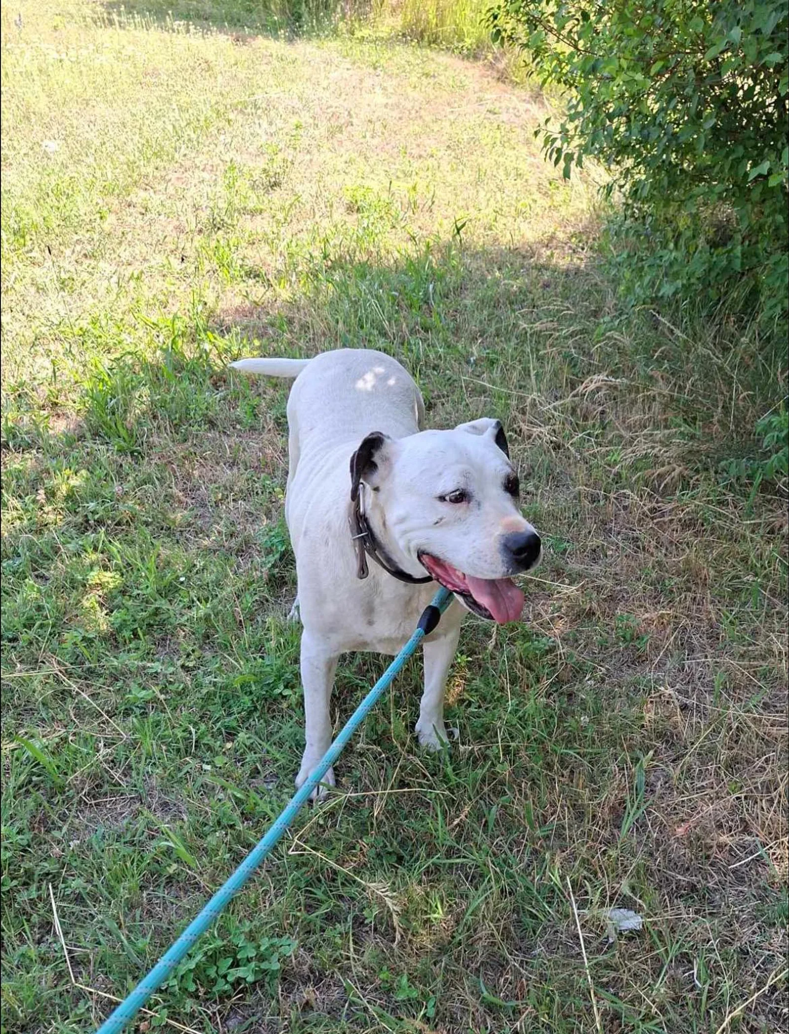 Max, Bild 17