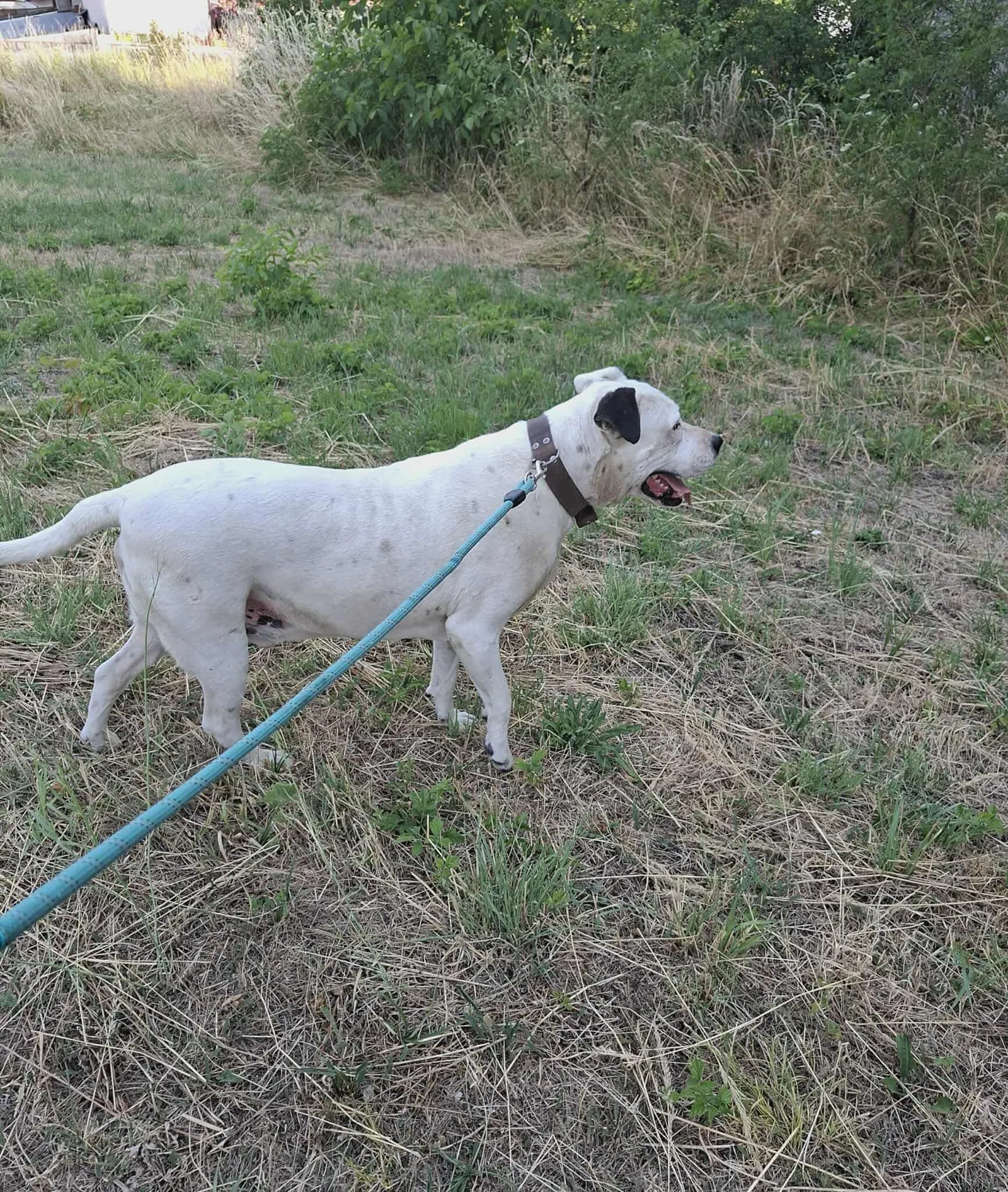 Max, Bild 21
