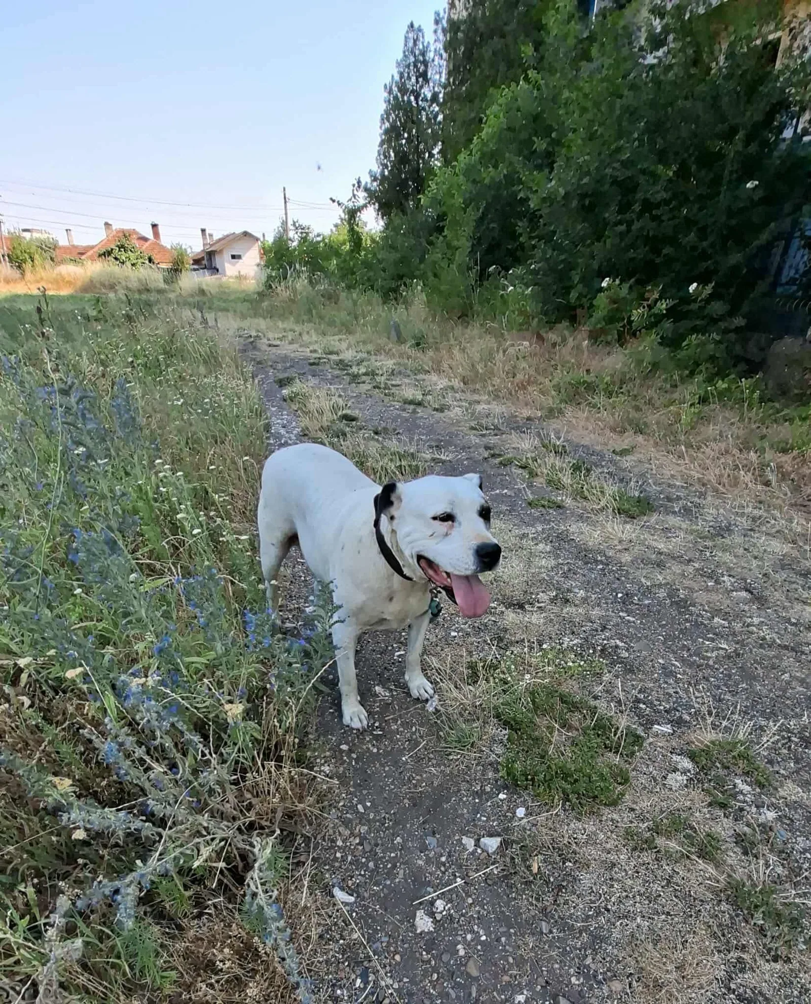Max, Bild 22