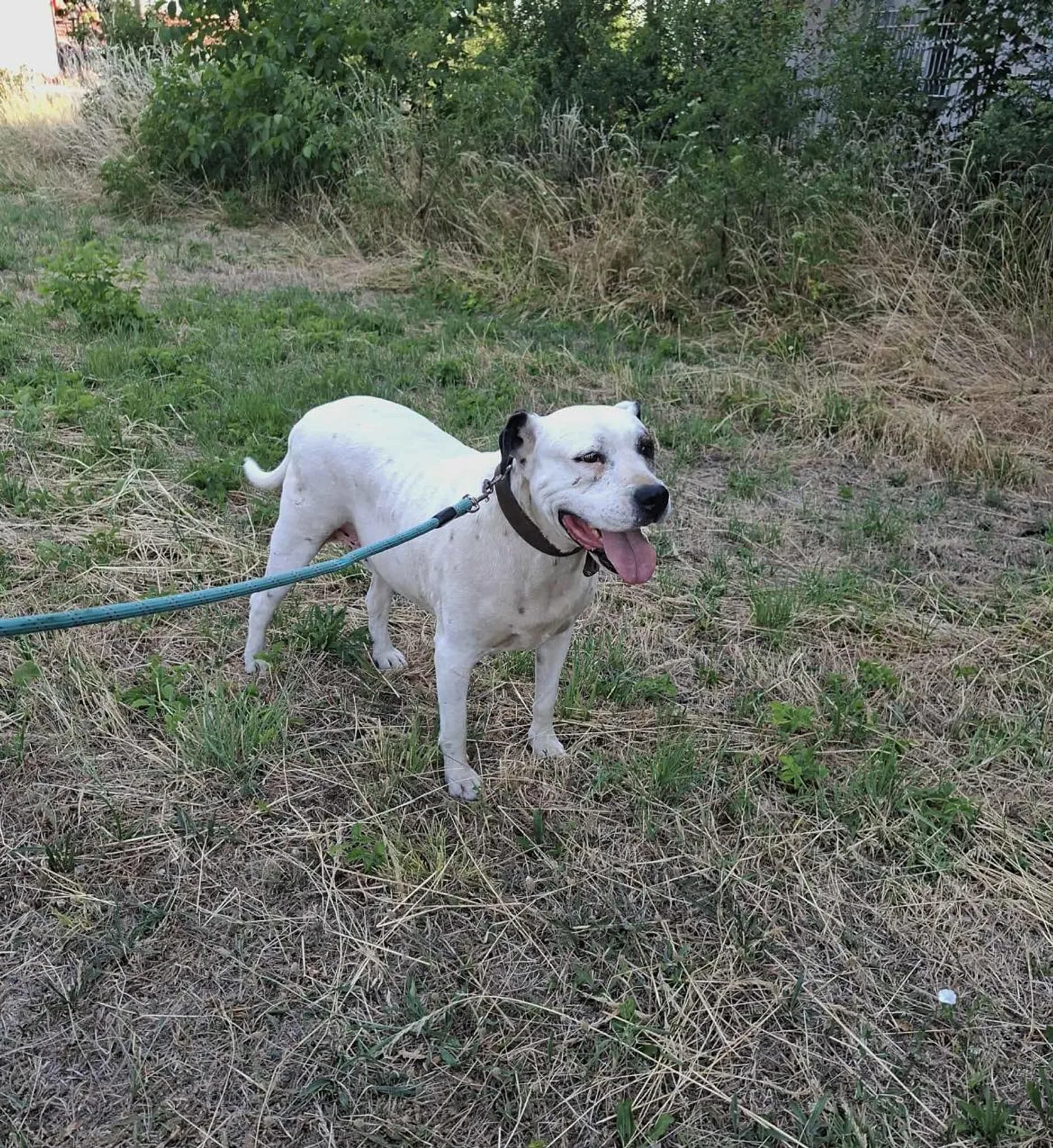 Max, Bild 20
