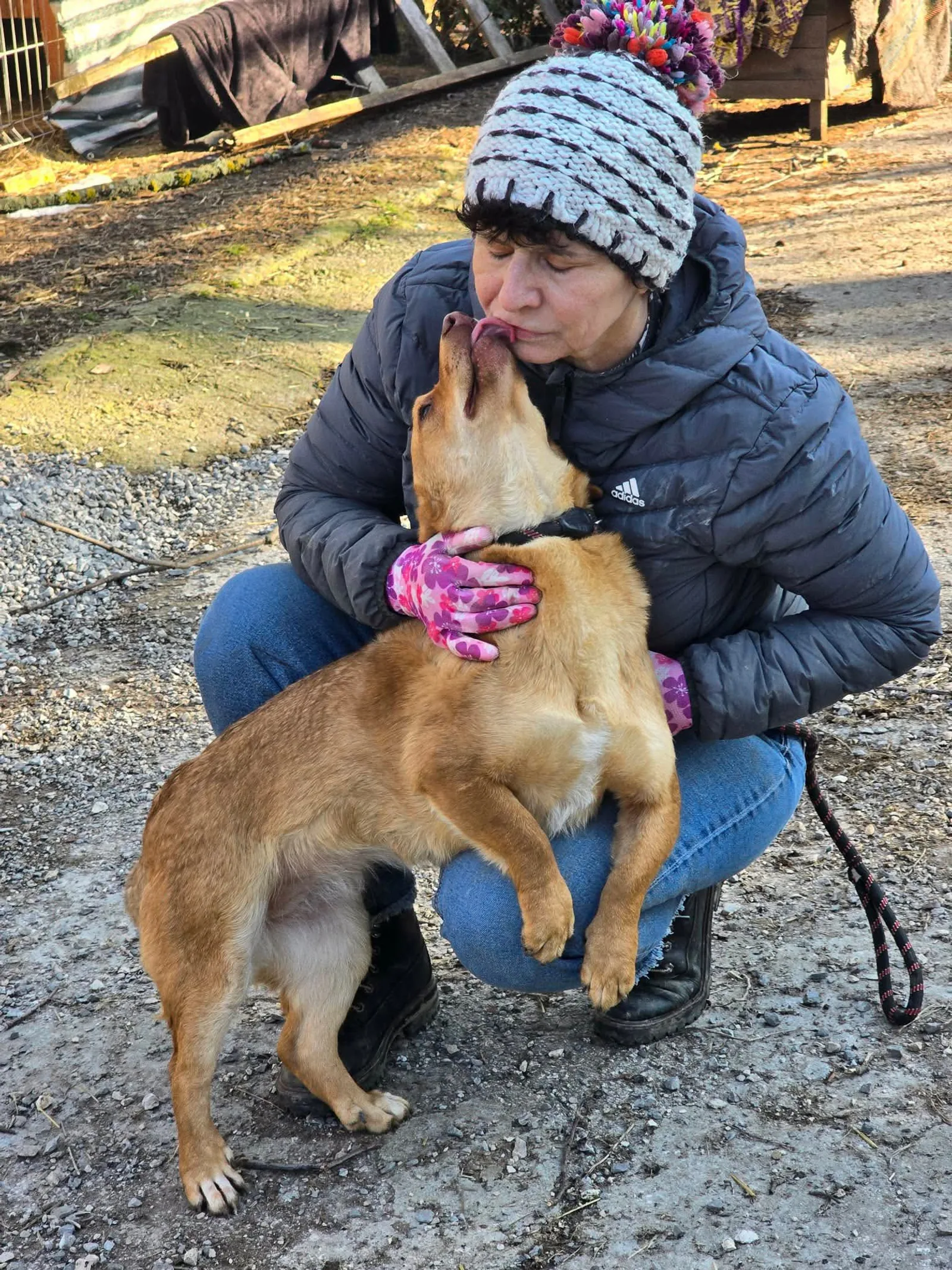 Jill, Bild 19