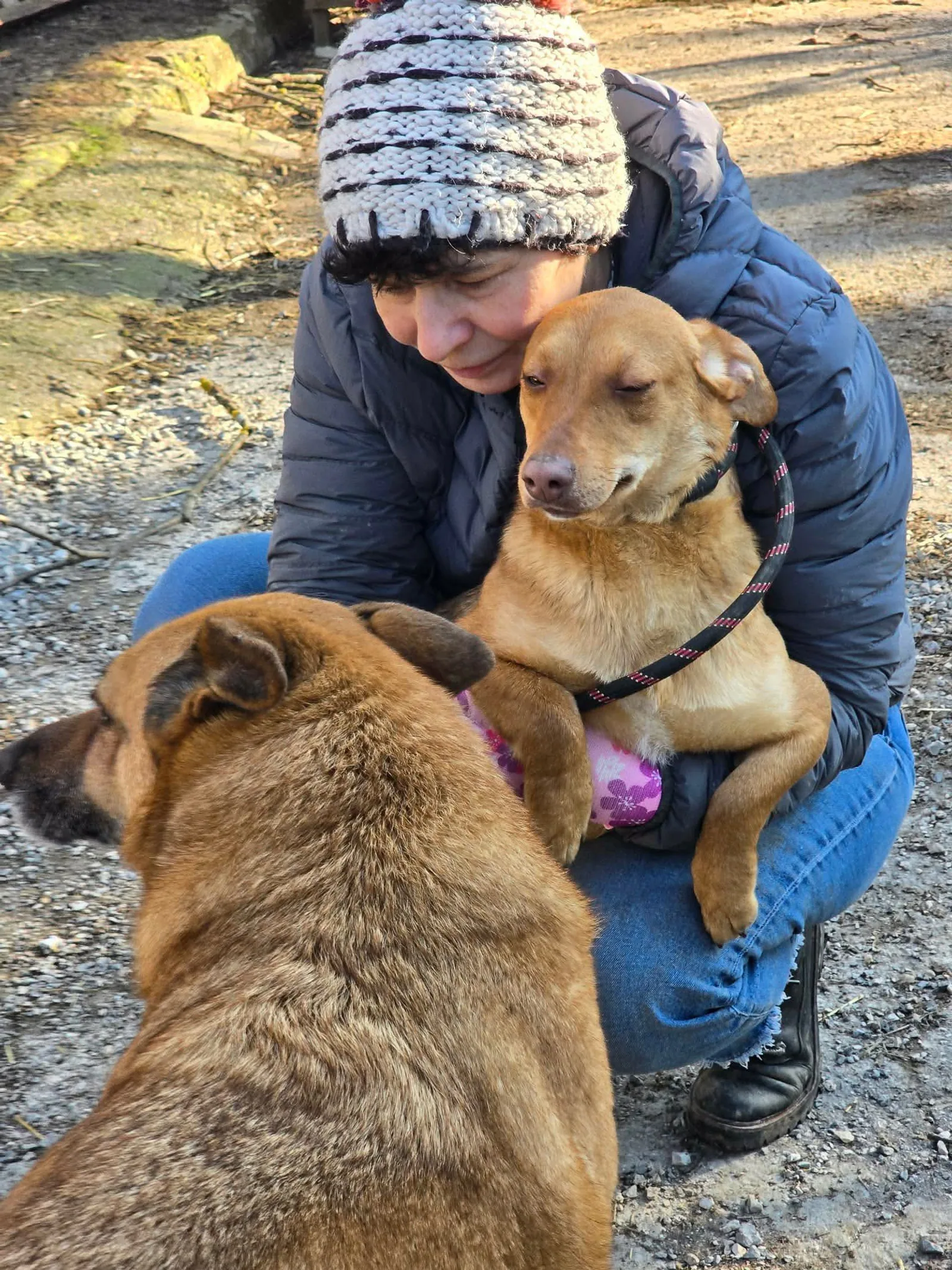 Jill, Bild 20