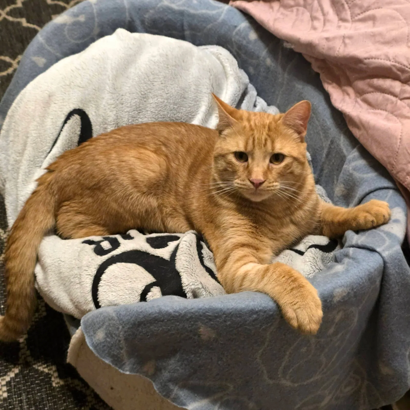 Rusty, Bild 15