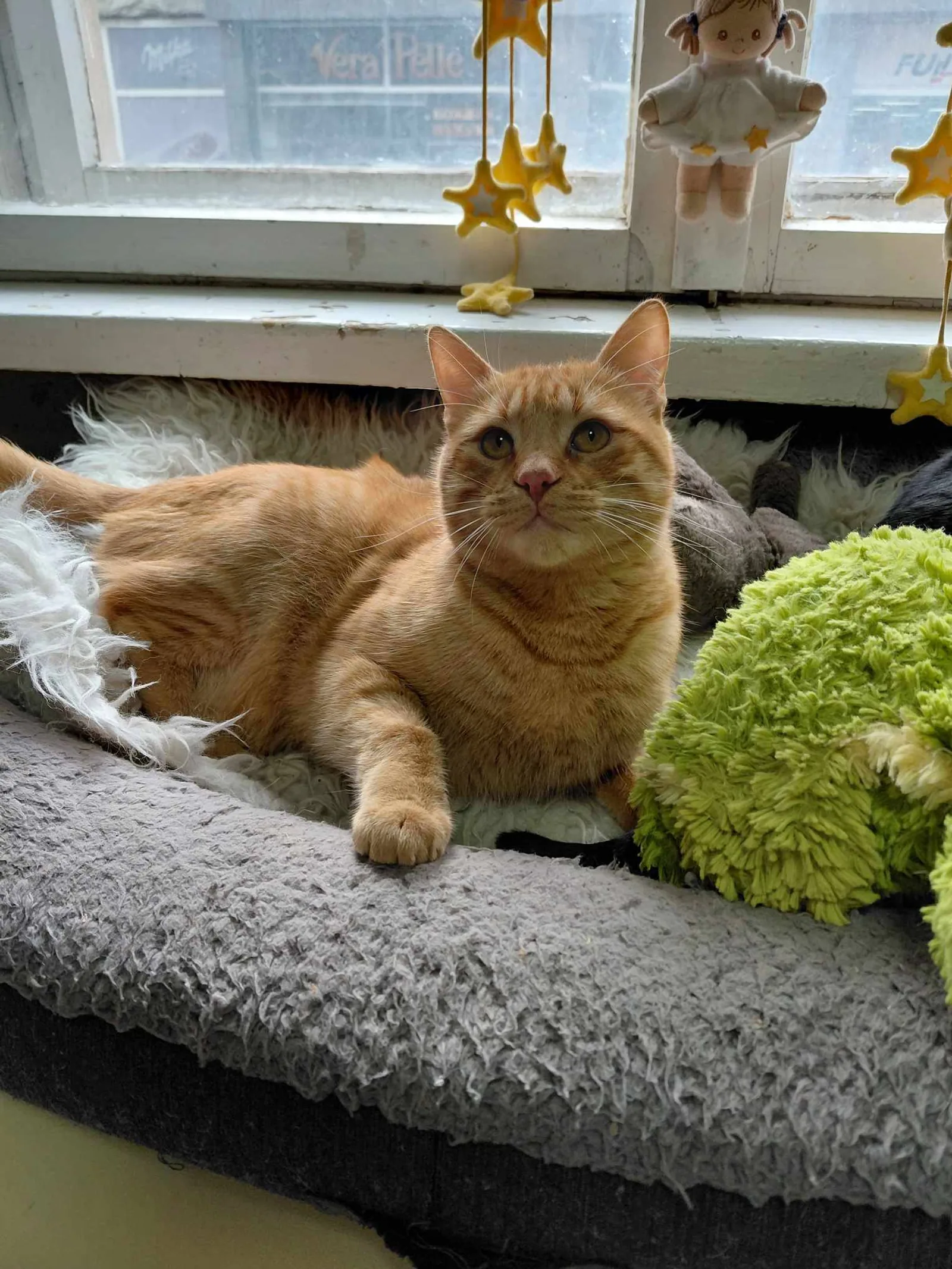 Rusty, Bild 25
