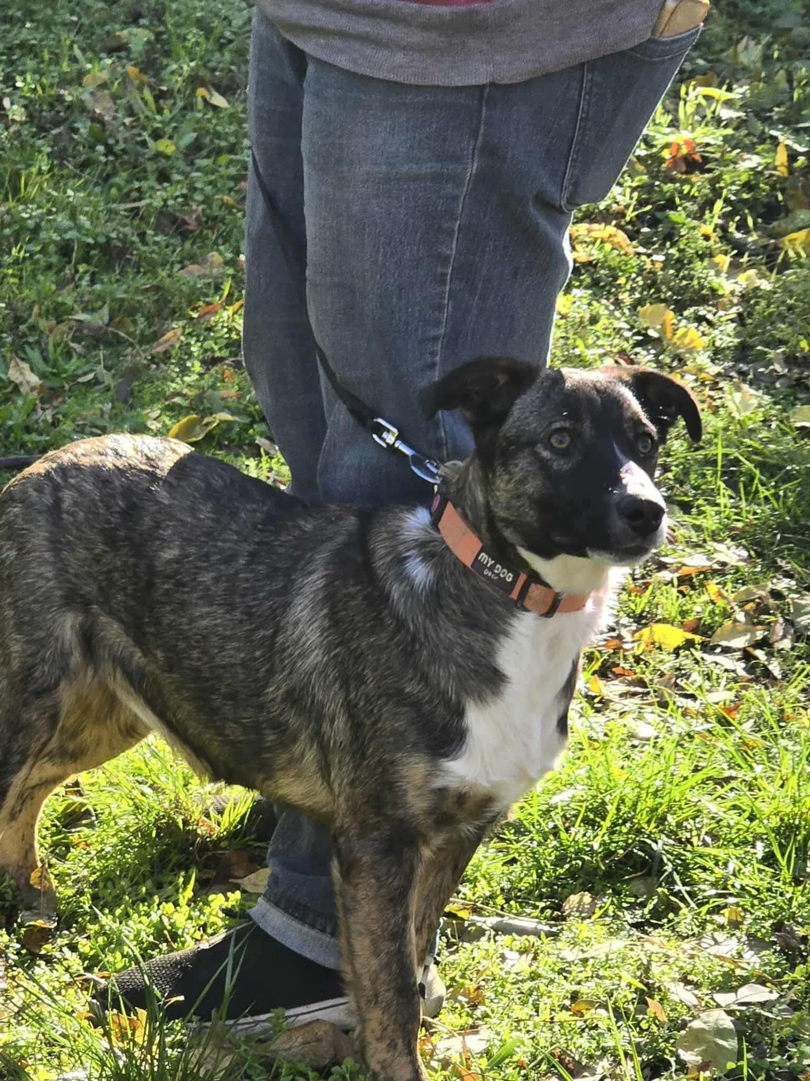 Zoya, Bild 16