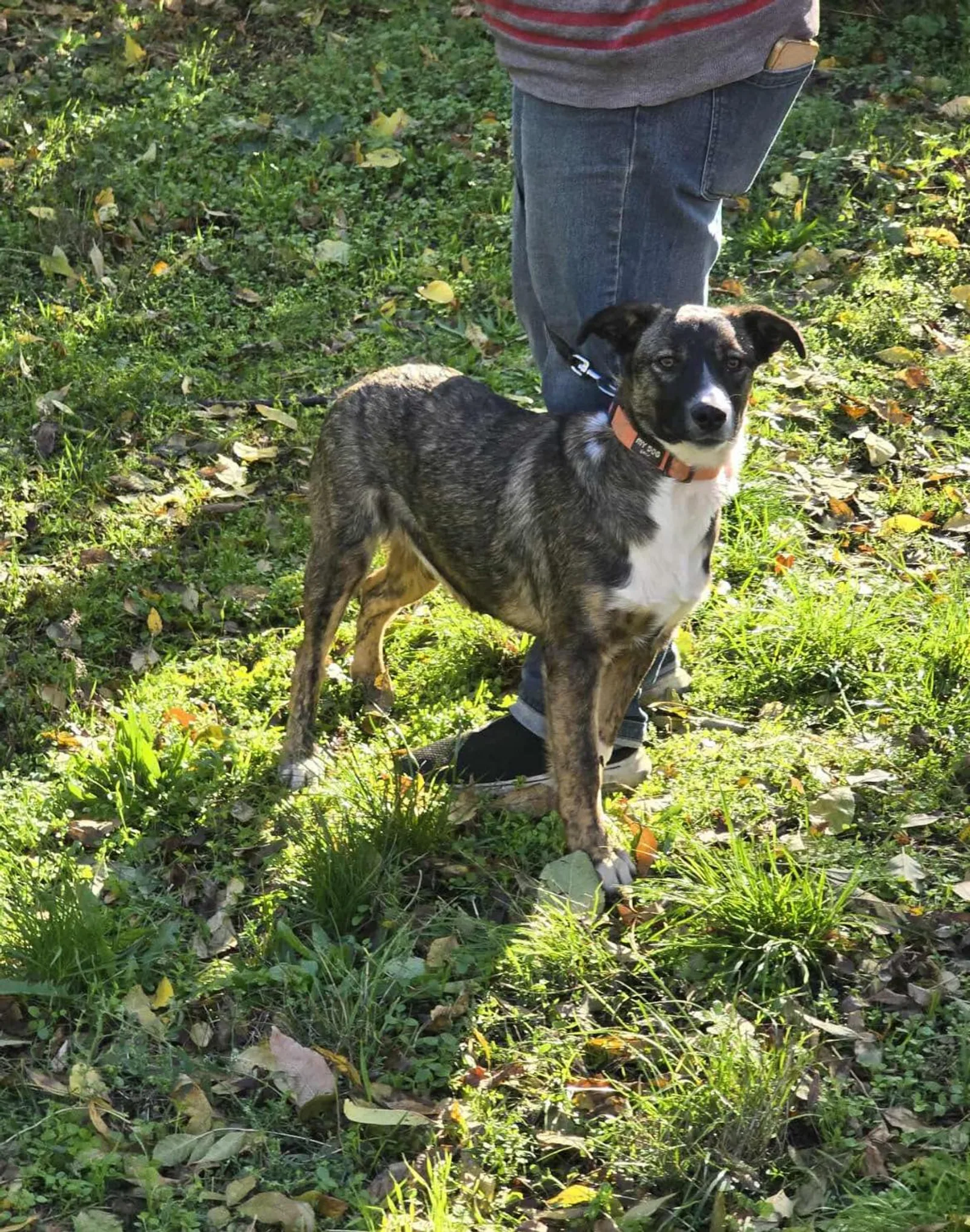 Zoya, Bild 17