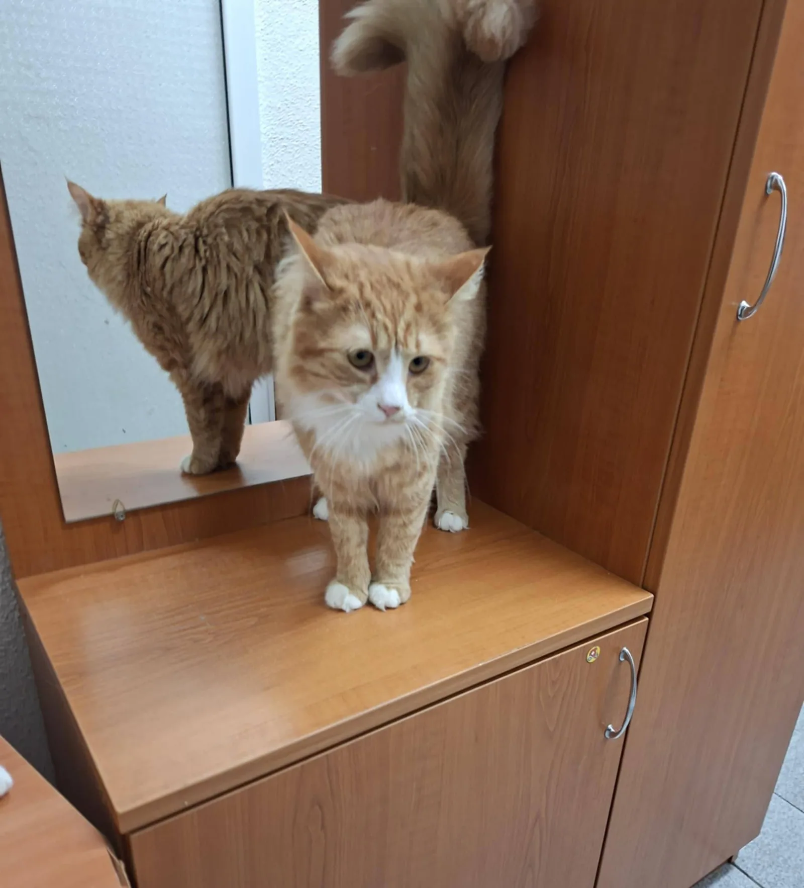 Suzy, Bild 16