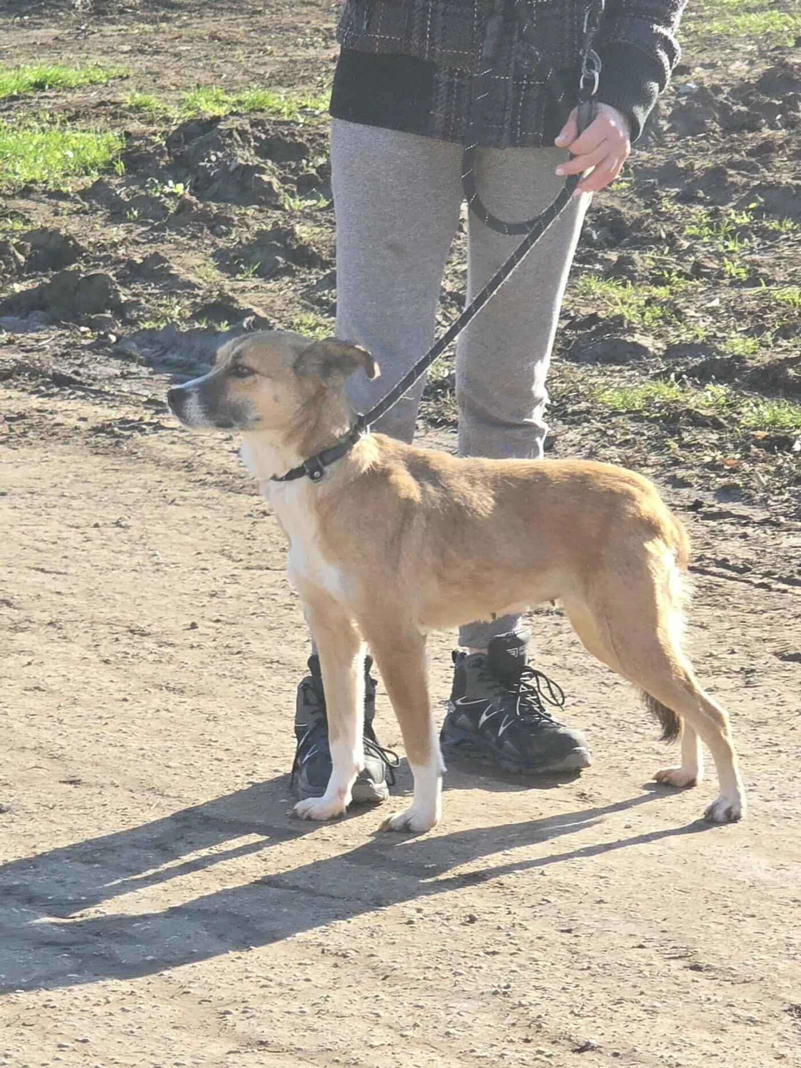 Yuna, Bild 15
