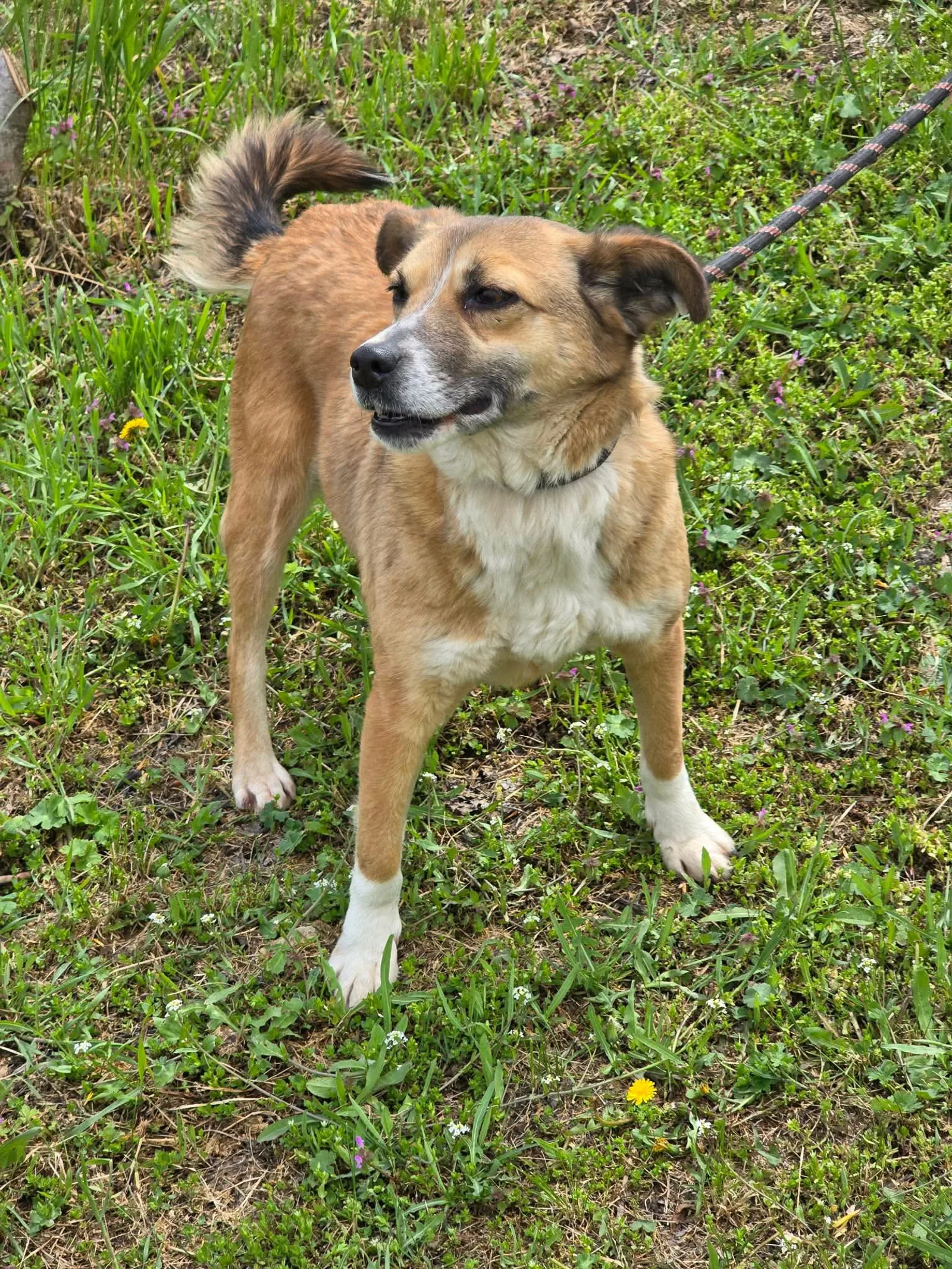Yuna, Bild 3