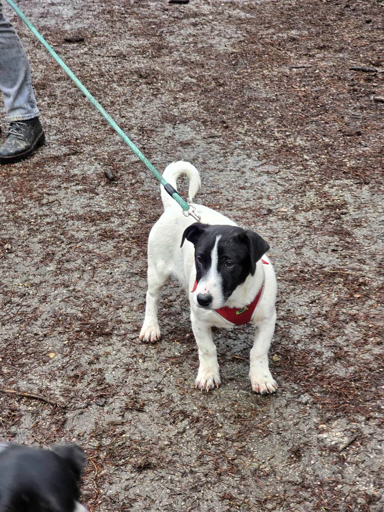 Emma, Bild 17