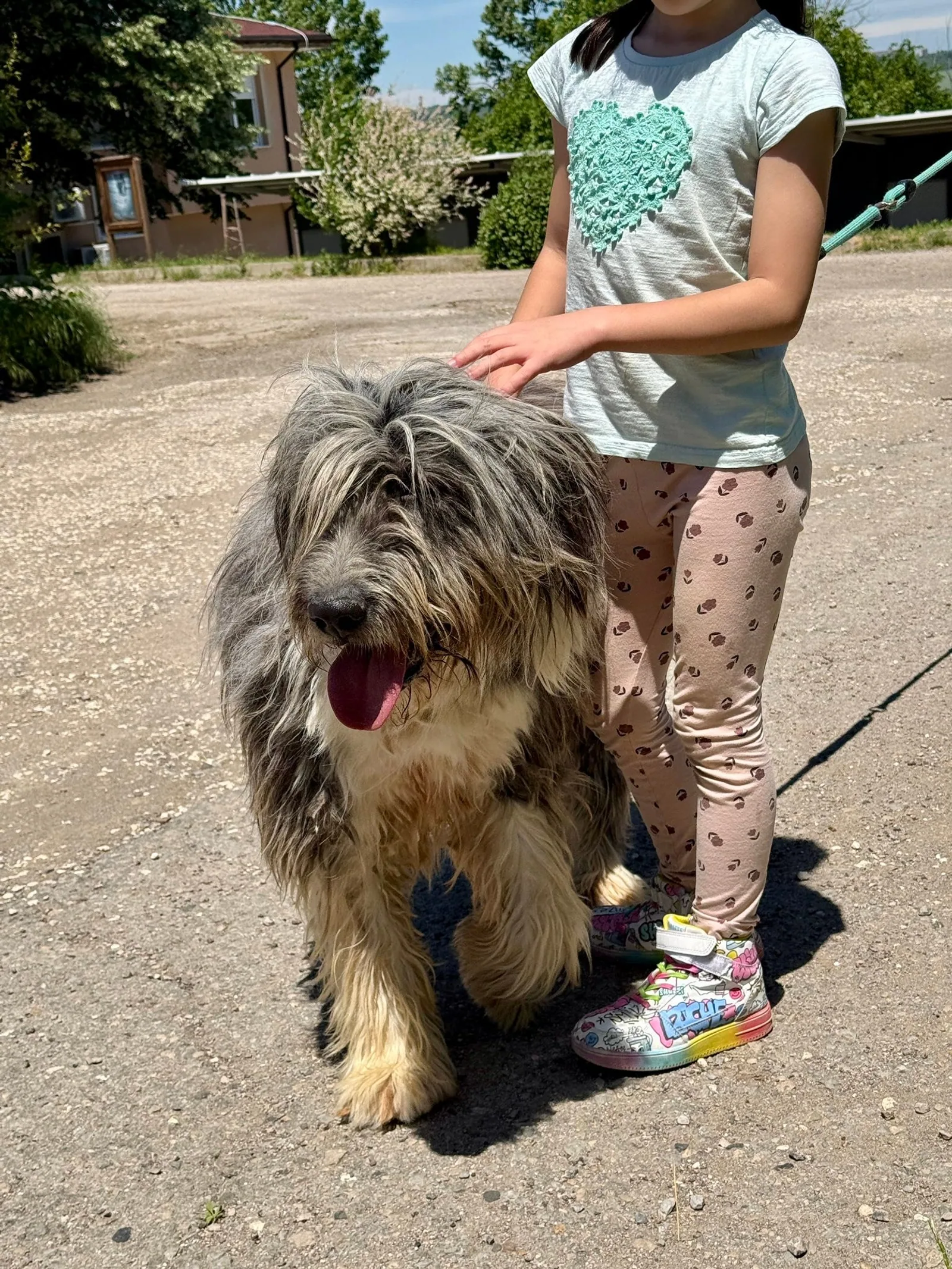 Thor, Hund