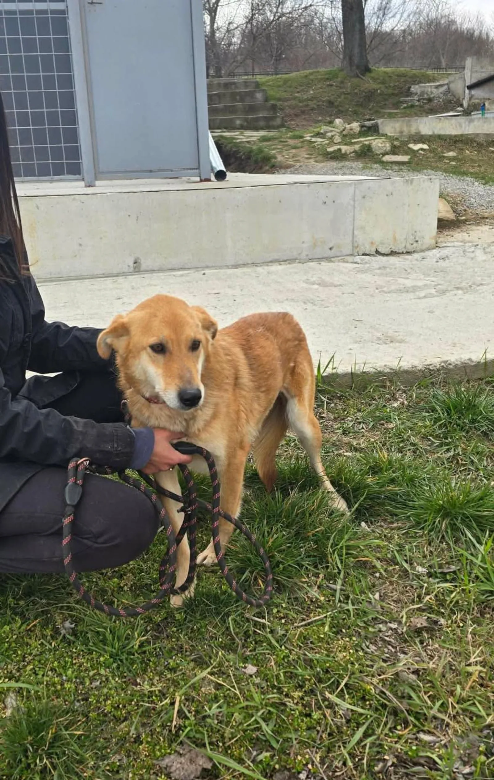 Lina, Bild 17