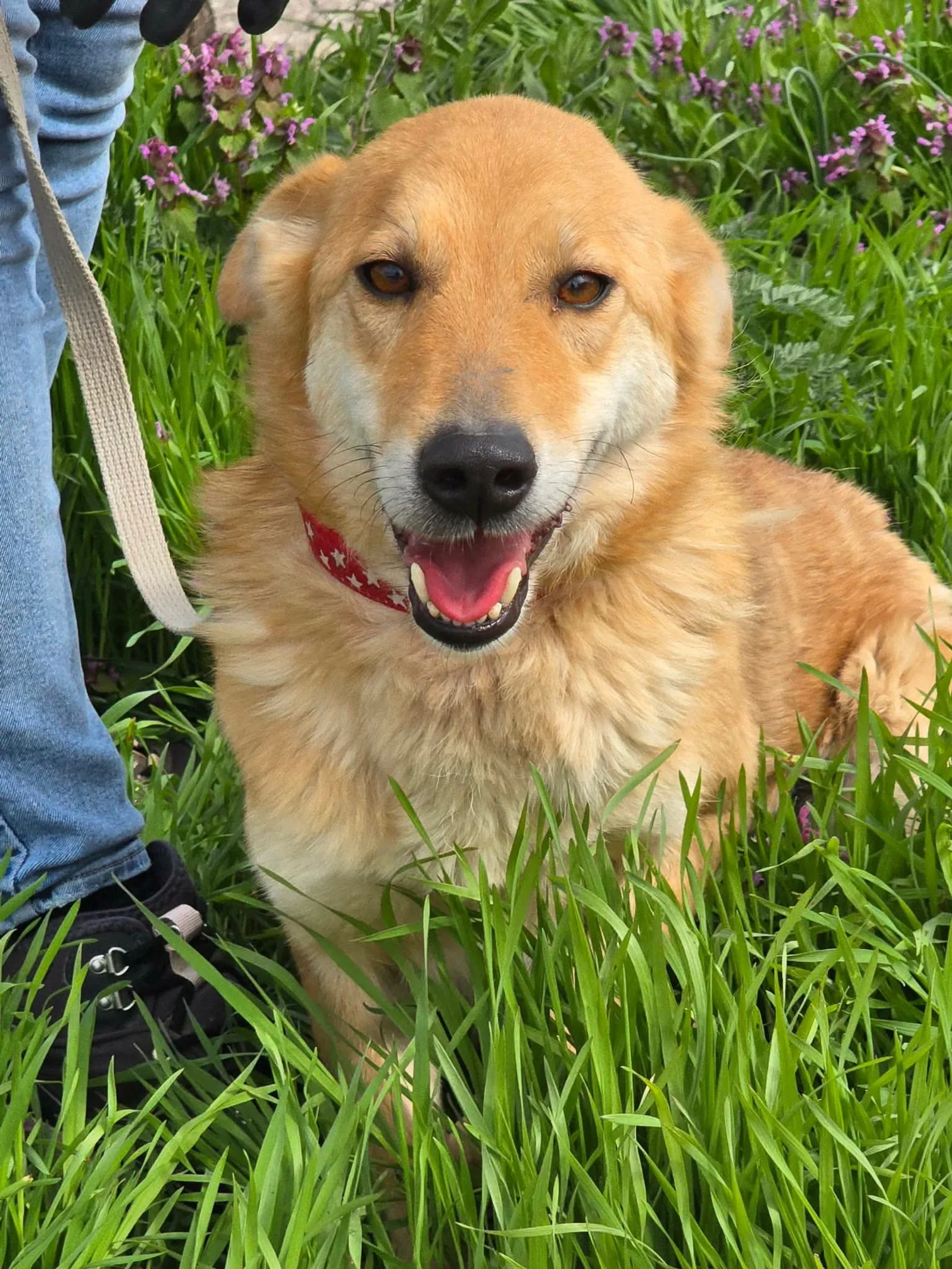 Lina, Bild 14