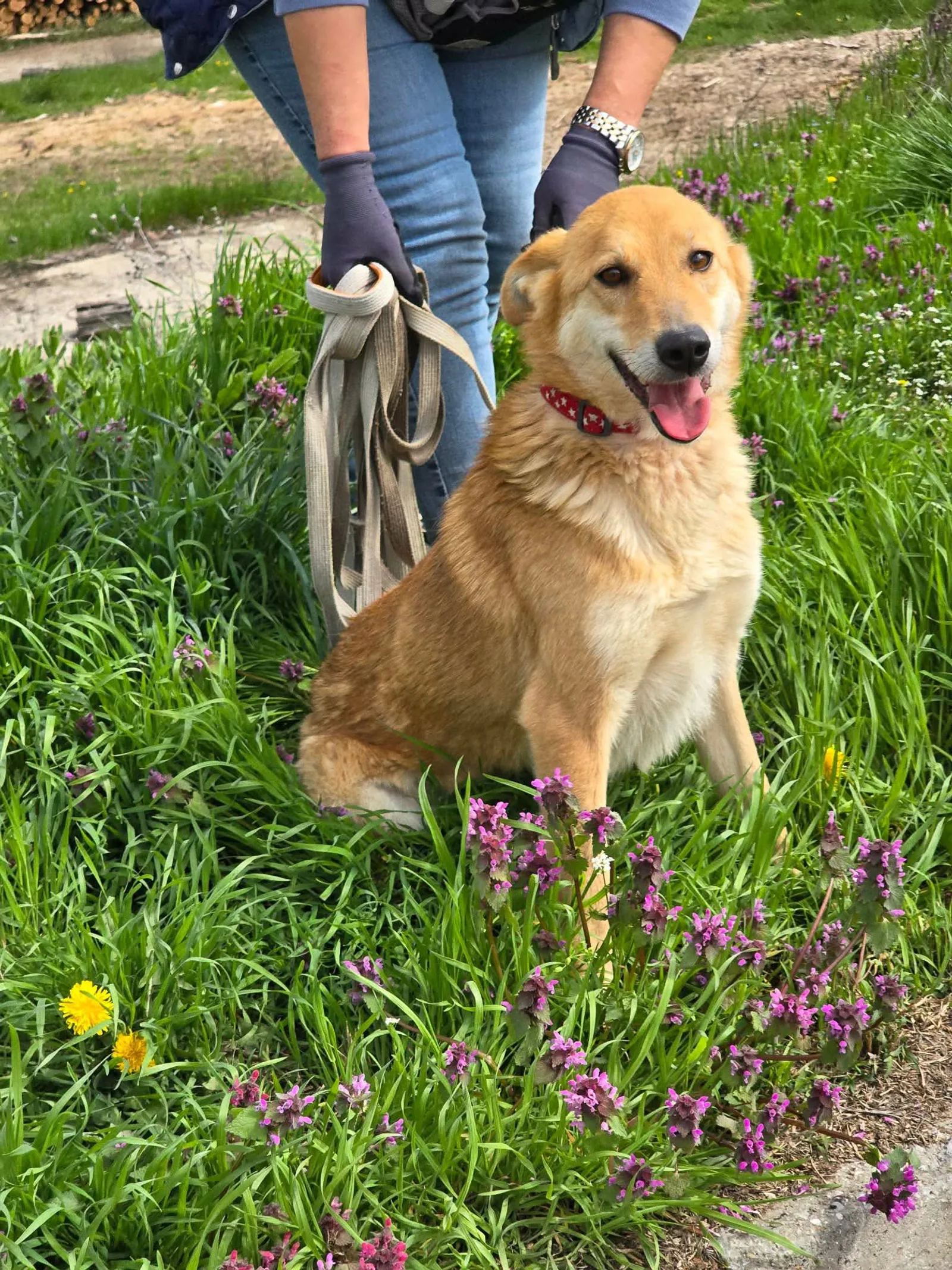 Lina, Bild 13