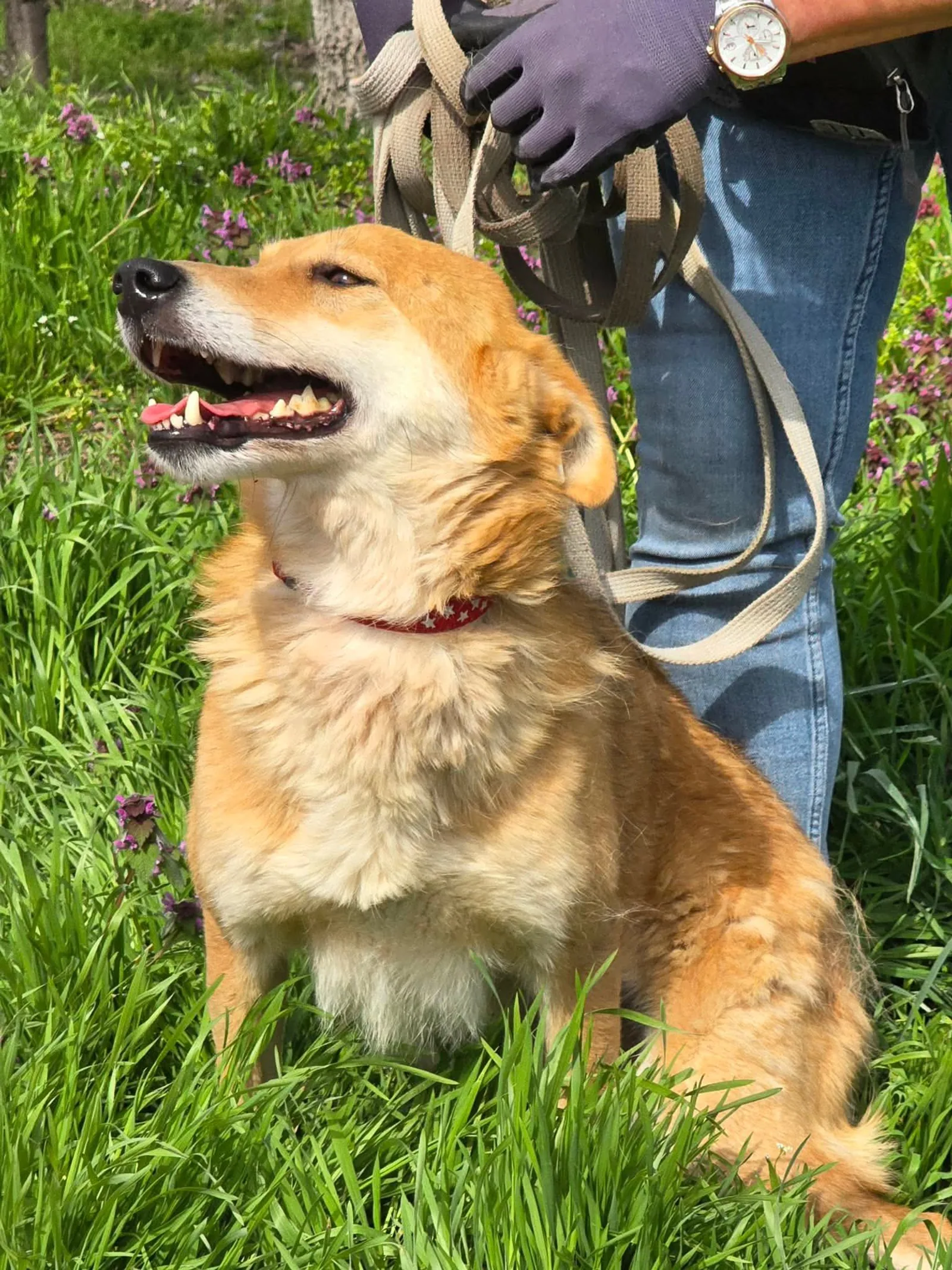 Lina, Bild 9