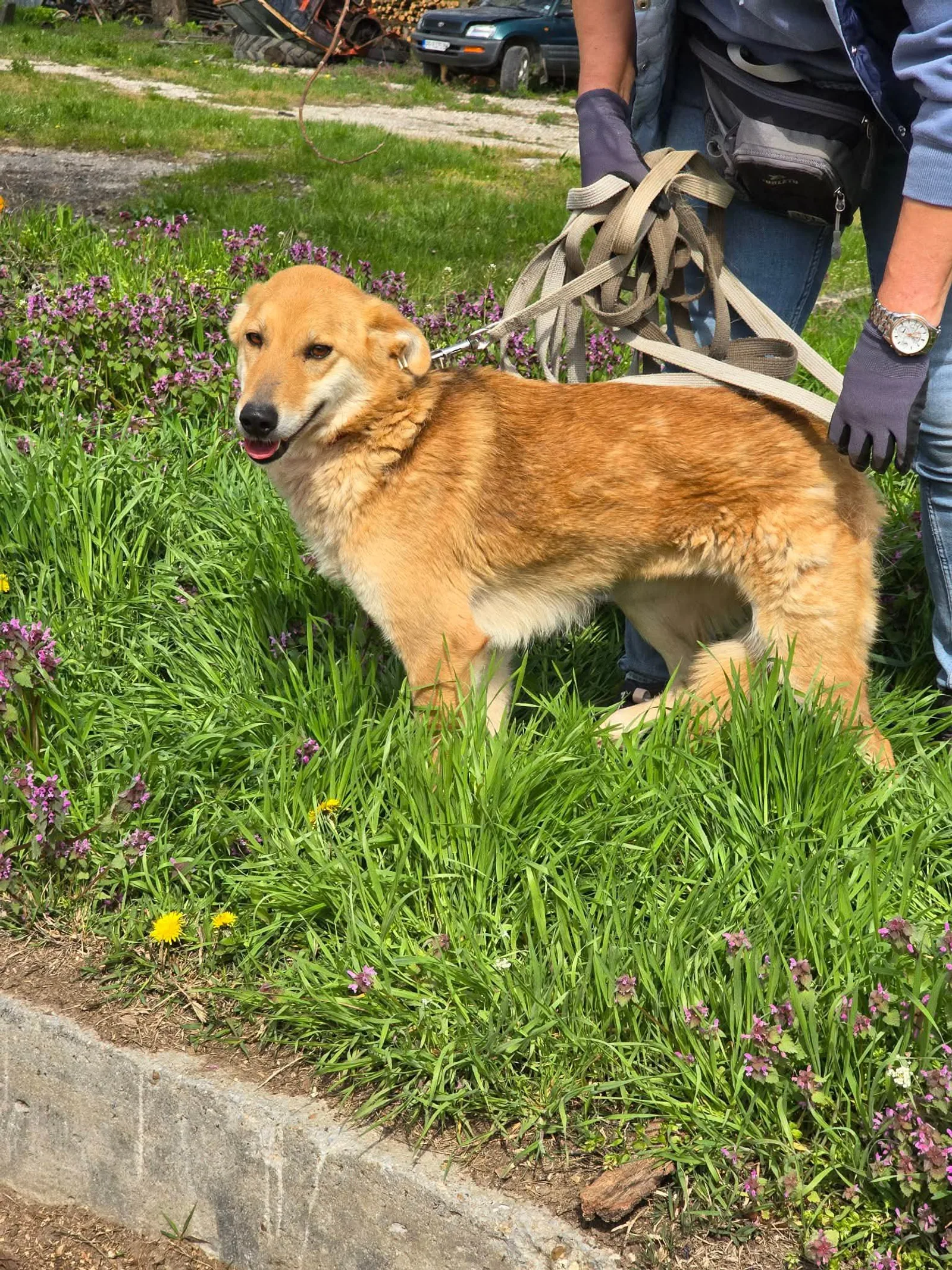 Lina, Bild 10