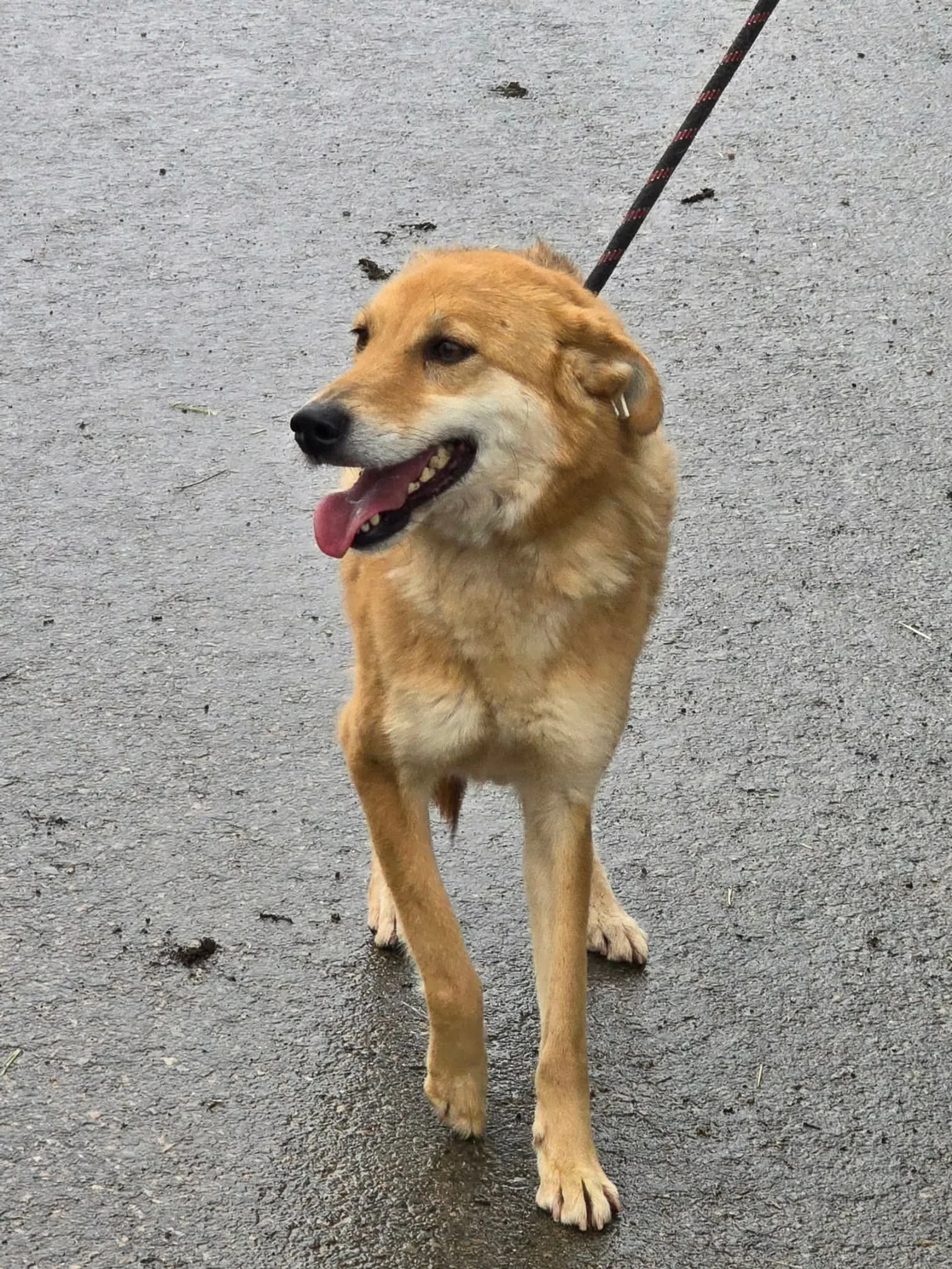 Lina, Bild 2