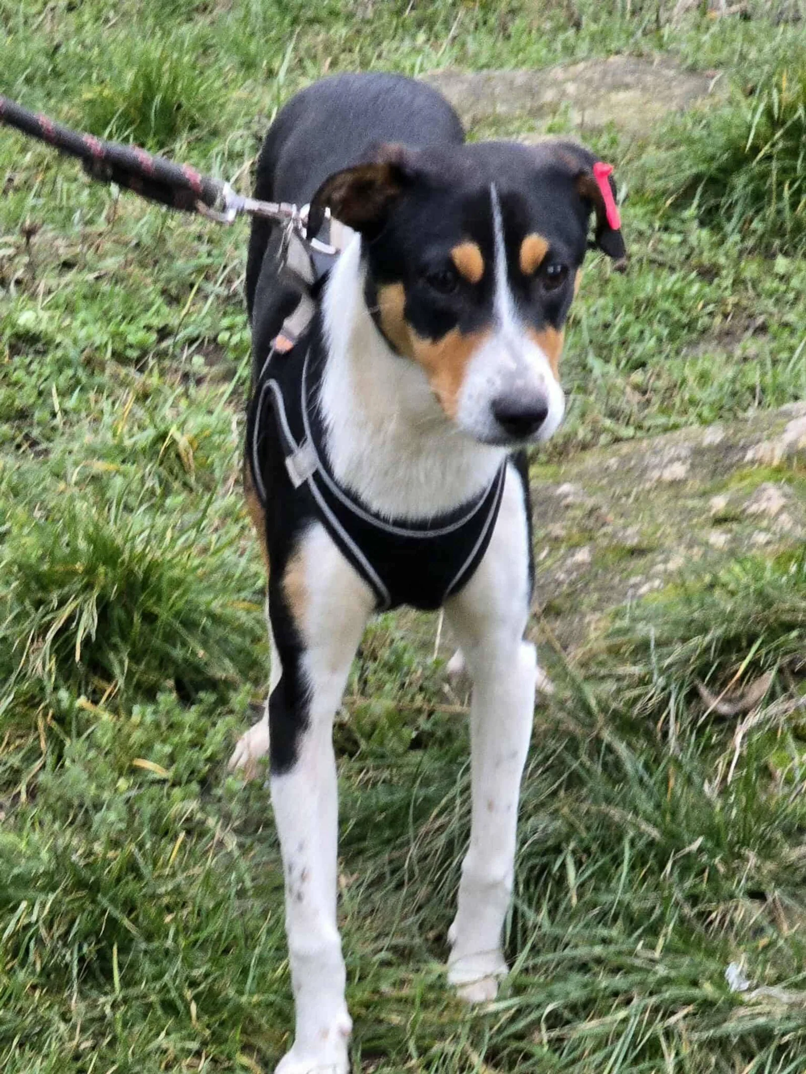 Spike, Bild 12