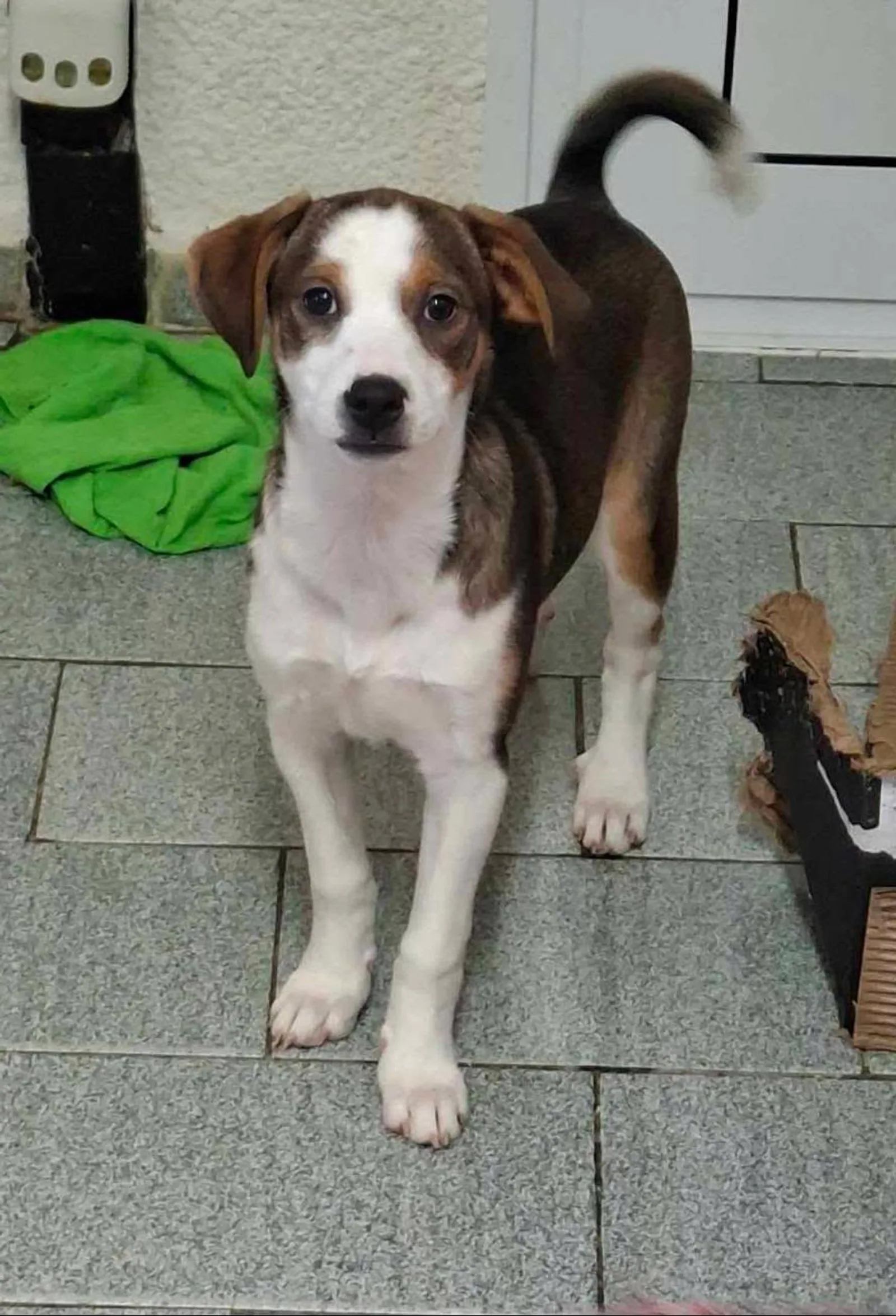 Isabella, Bild 7