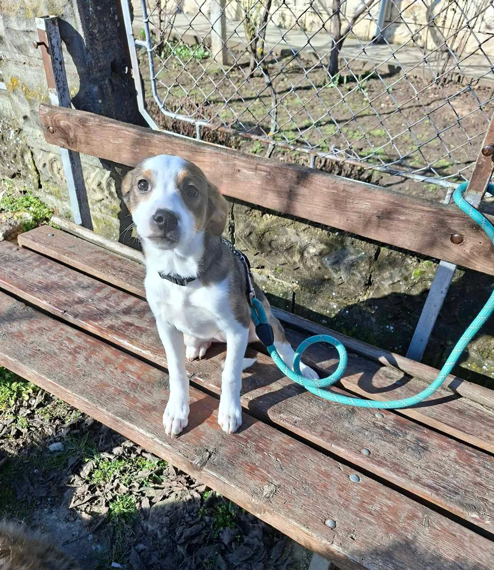 Isabella, Bild 12