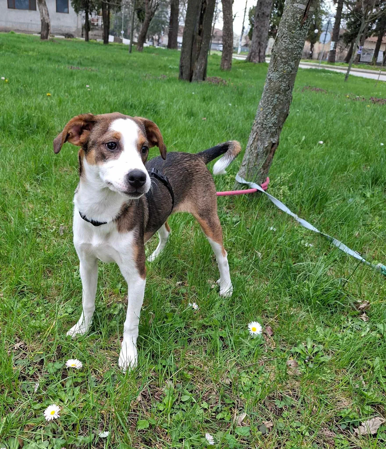 Isabella, Bild 3