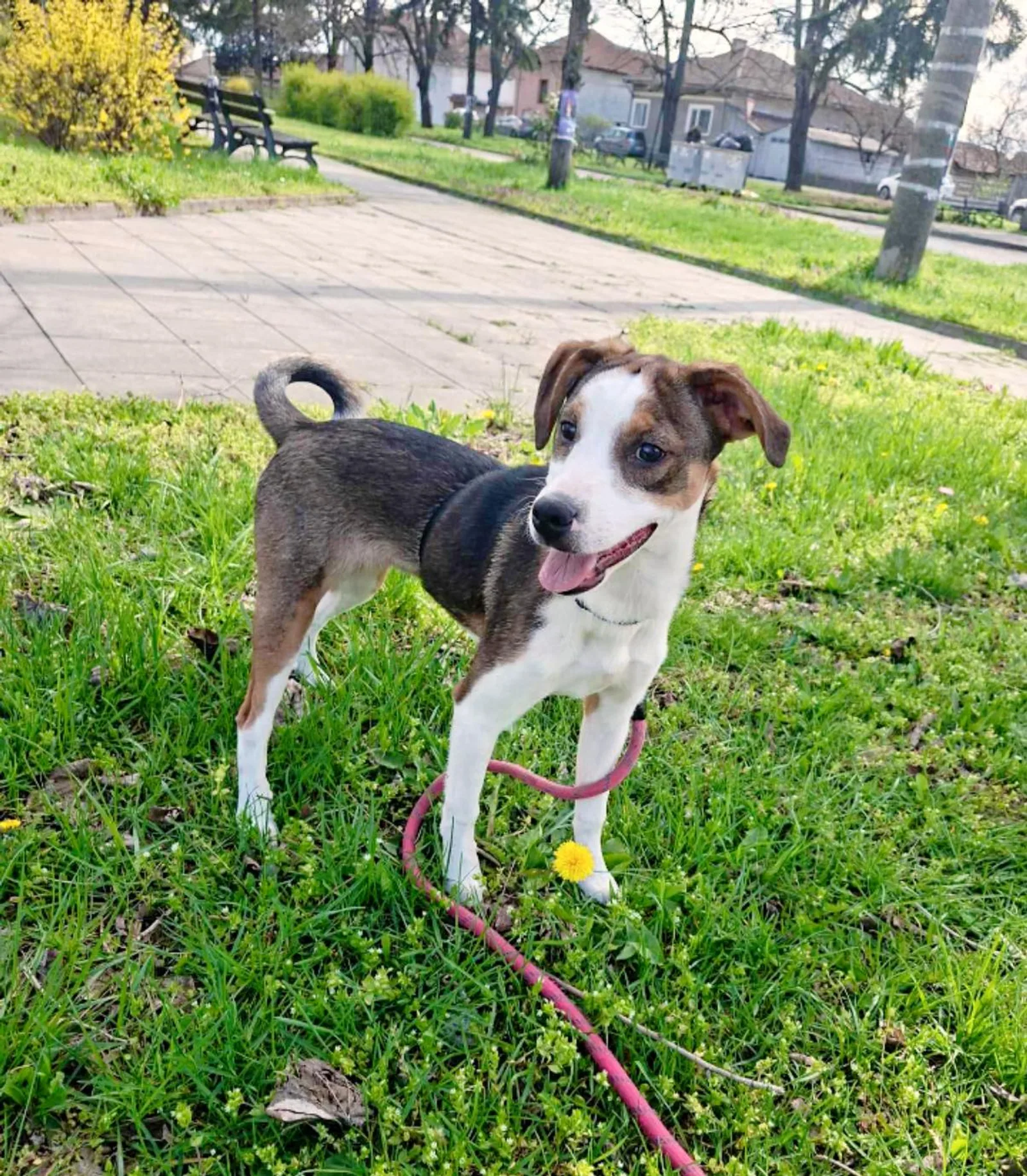 Isabella, Bild 2
