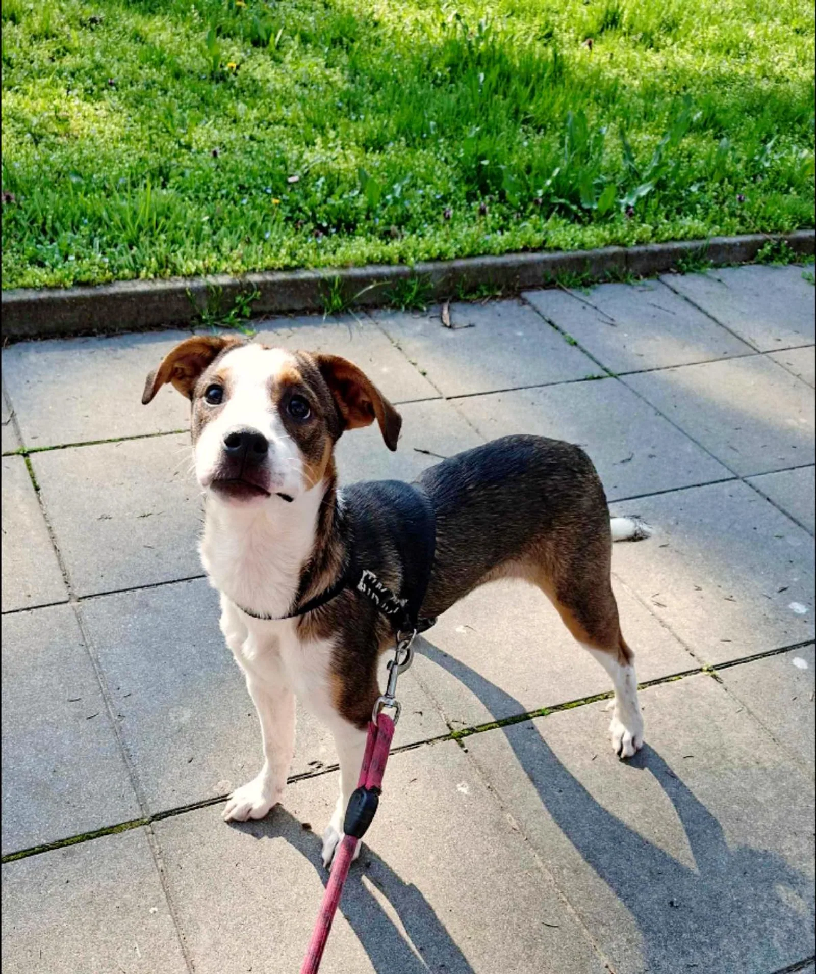 Isabella, Bild 4