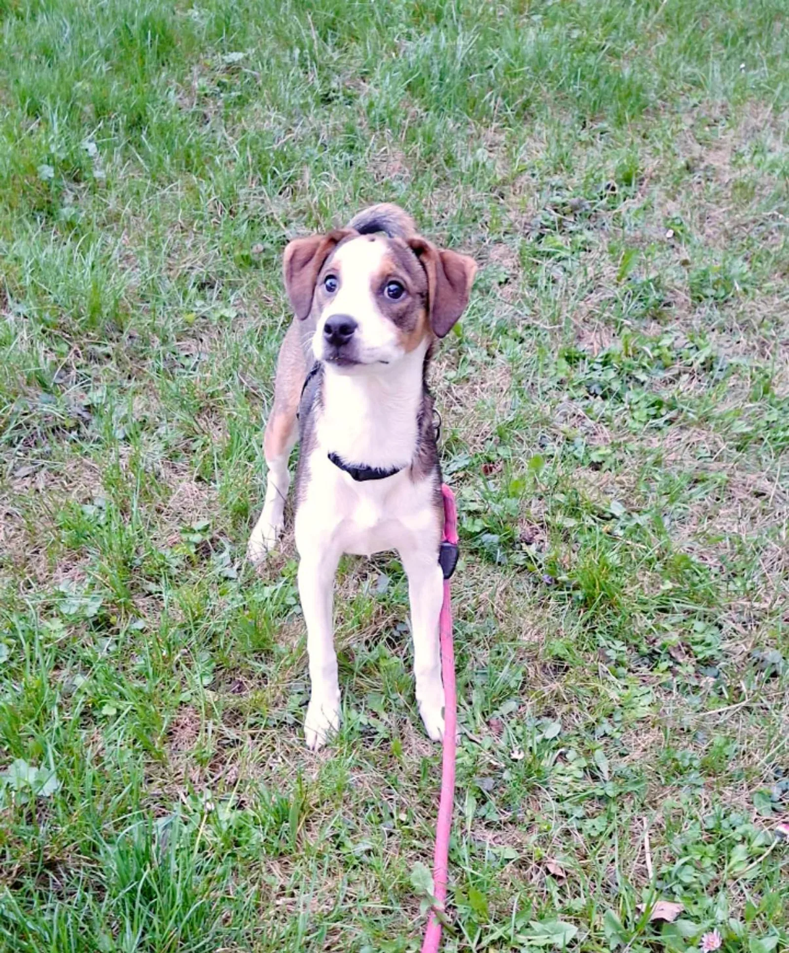 Isabella, Bild 5