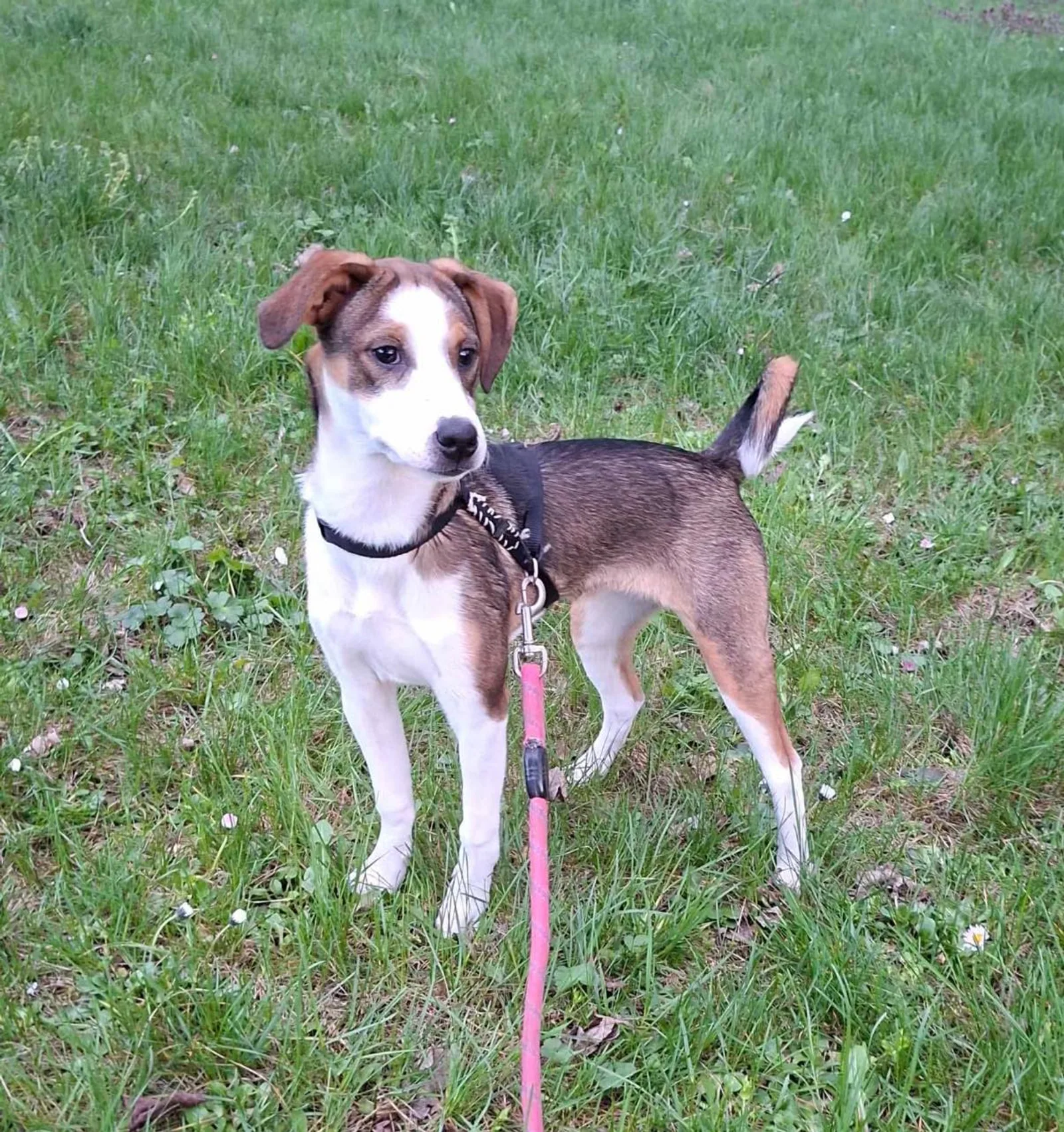Isabella, Bild 6