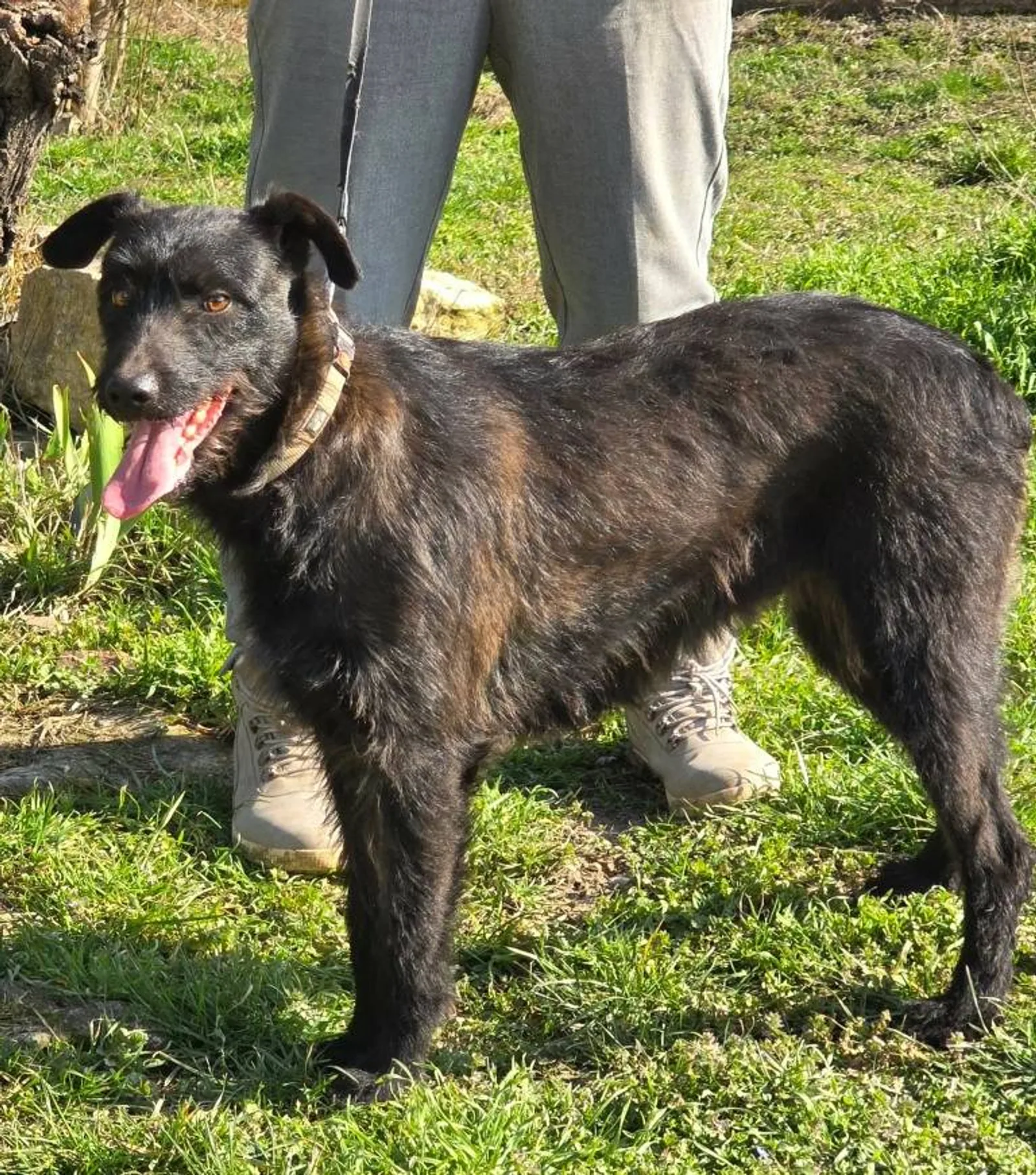 Bella, Bild 4