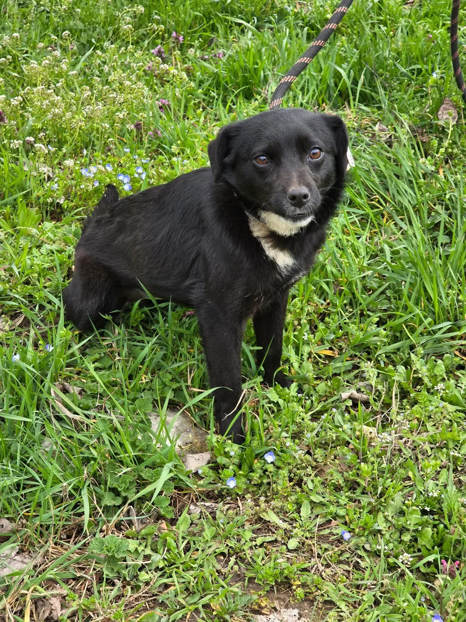 Elva, Bild 10