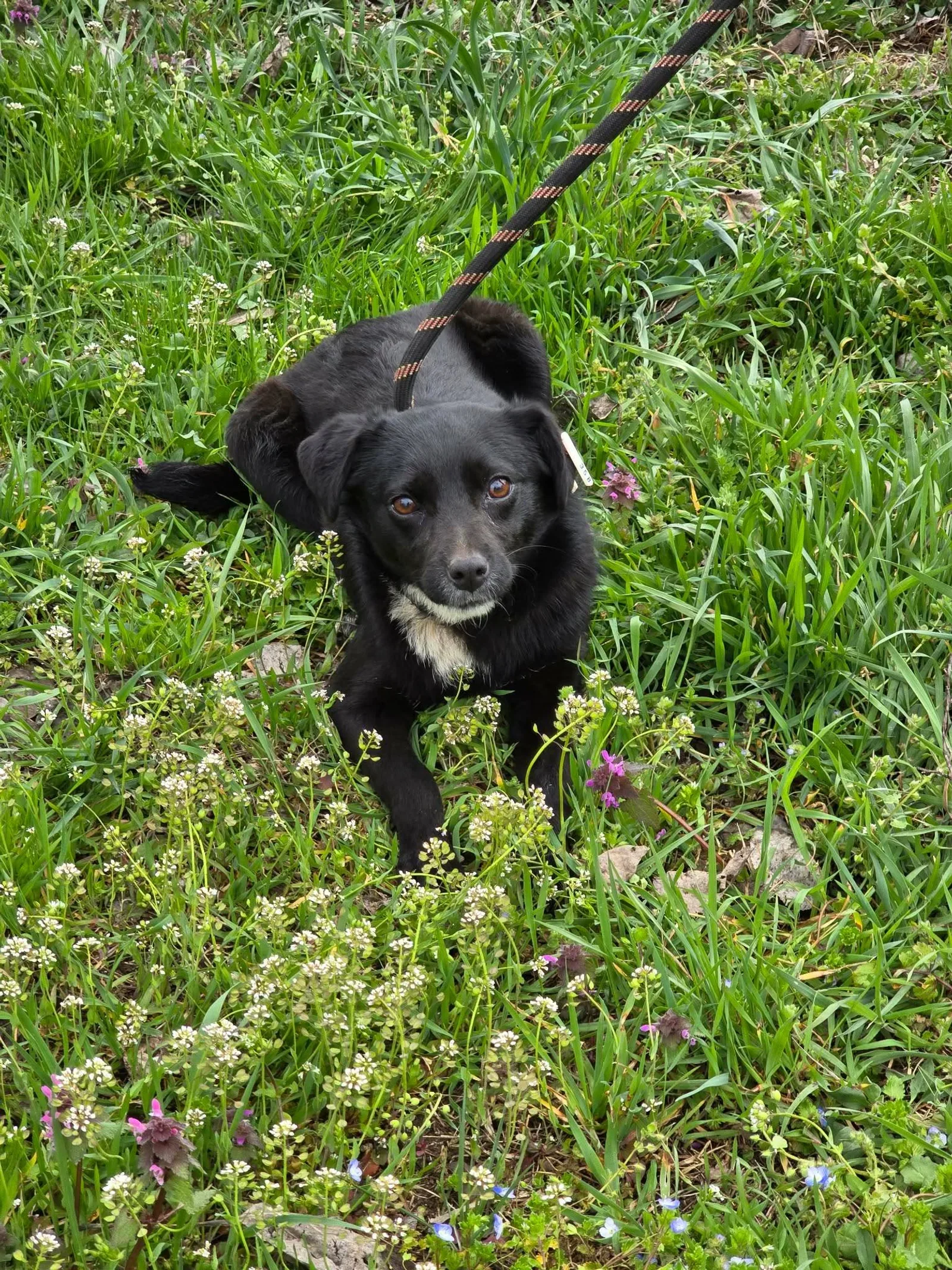 Elva, Bild 11