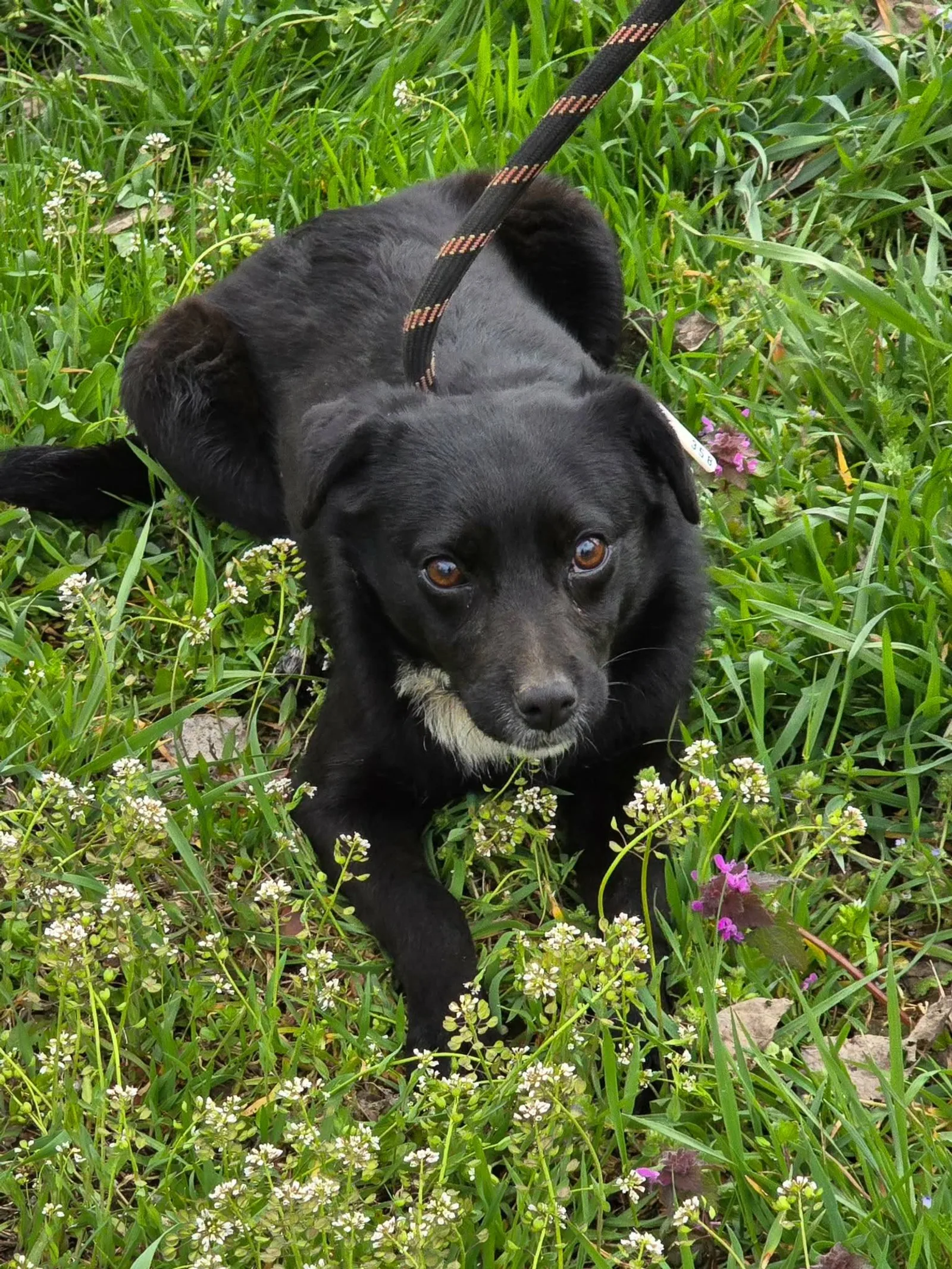 Elva, Bild 12