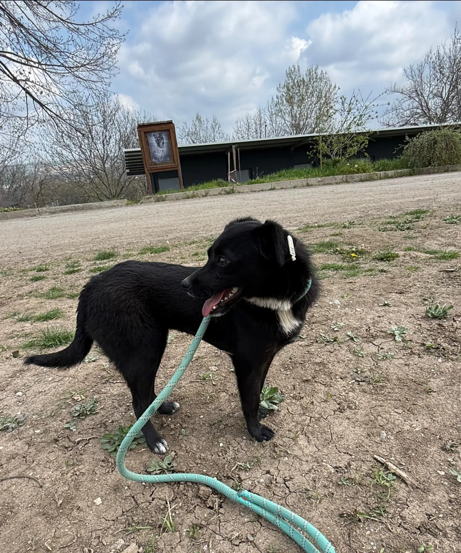 Elva, Bild 3