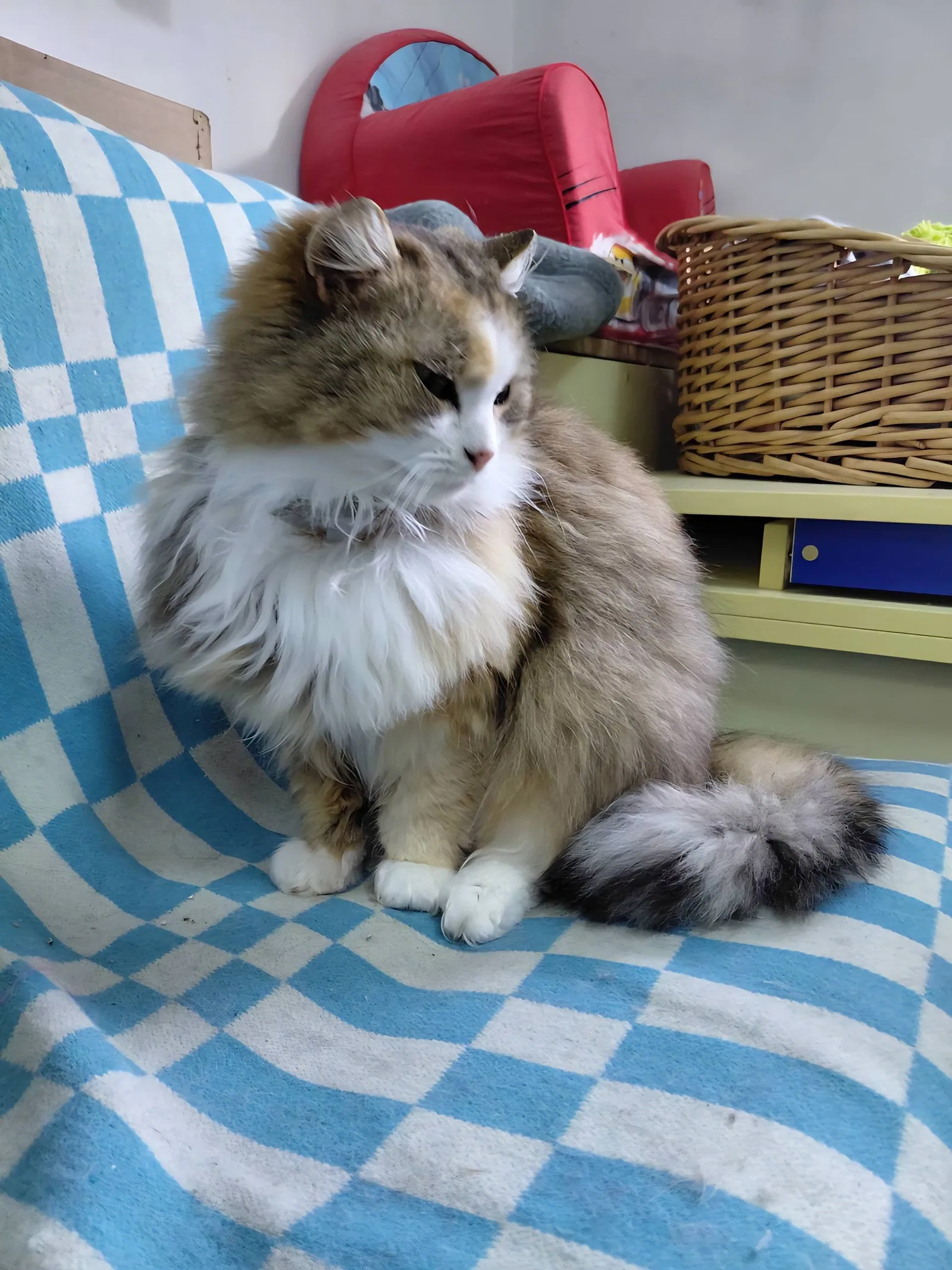 Jule, Bild 4