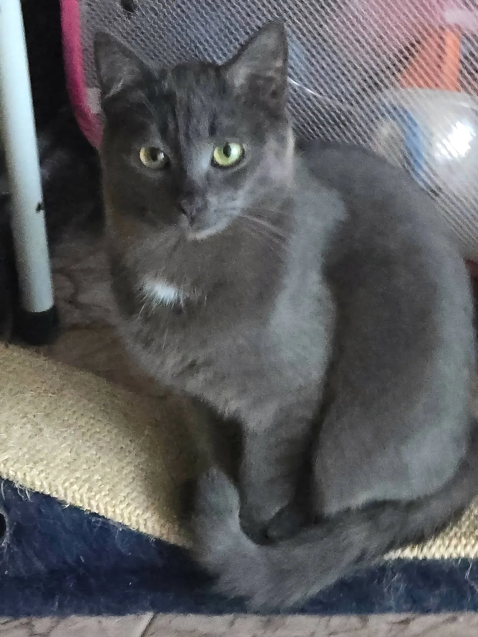 Grey, Bild 3
