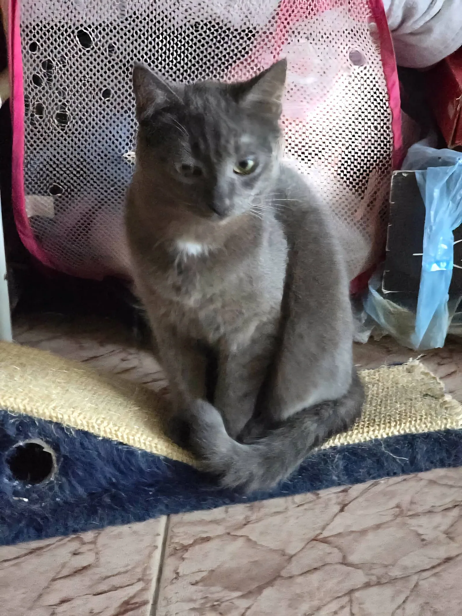 Grey, Bild 5