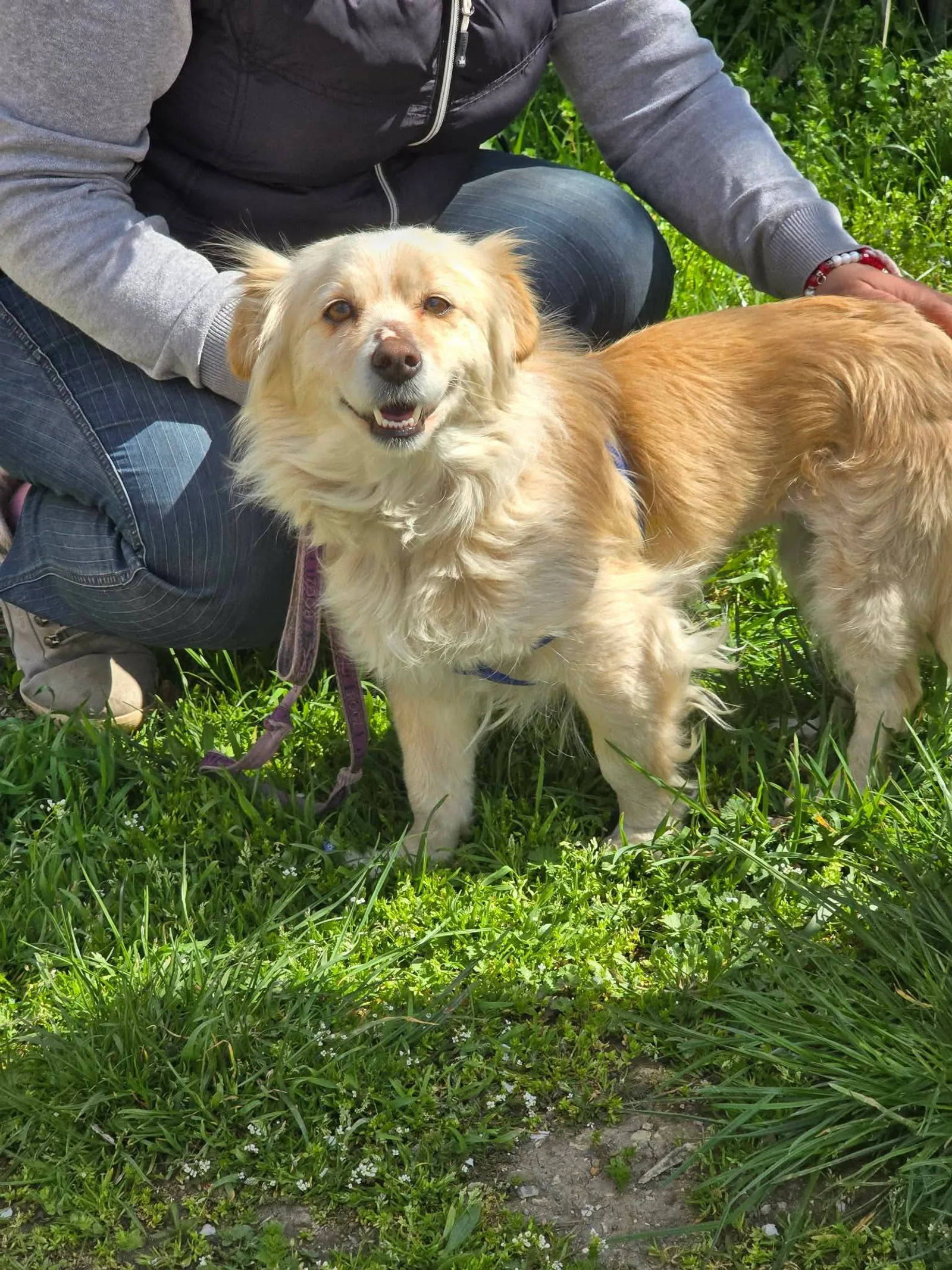 Lisa, Bild 14