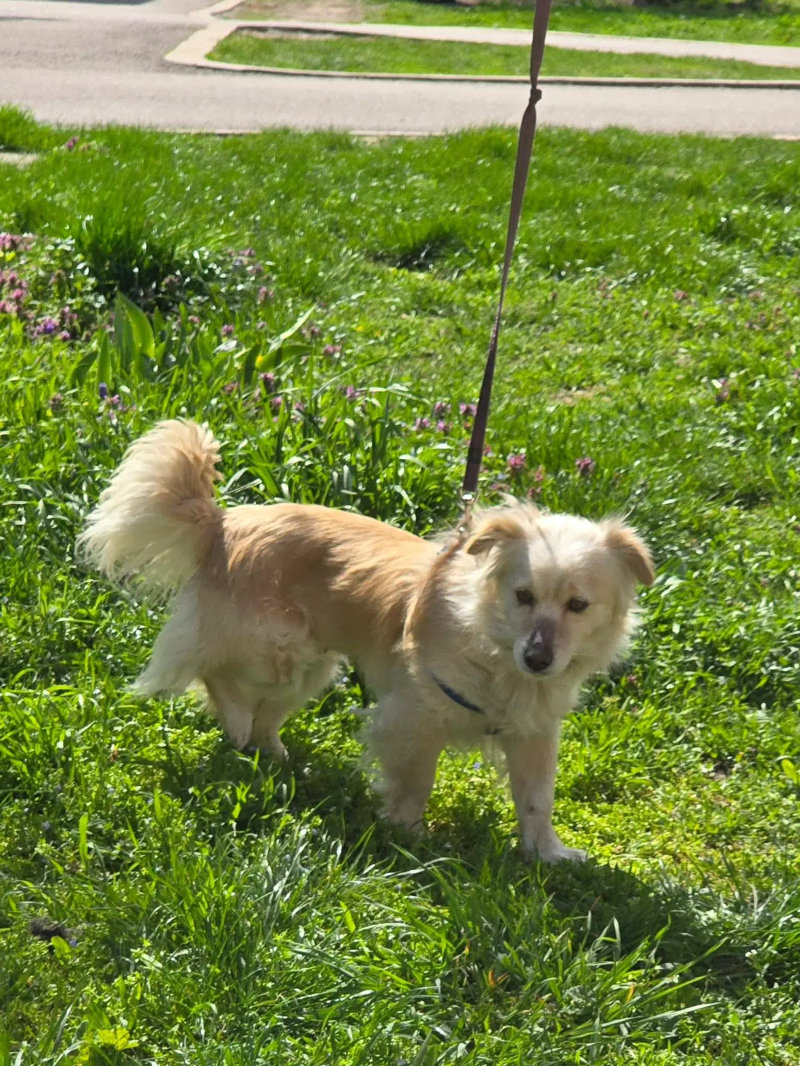 Lisa, Bild 16