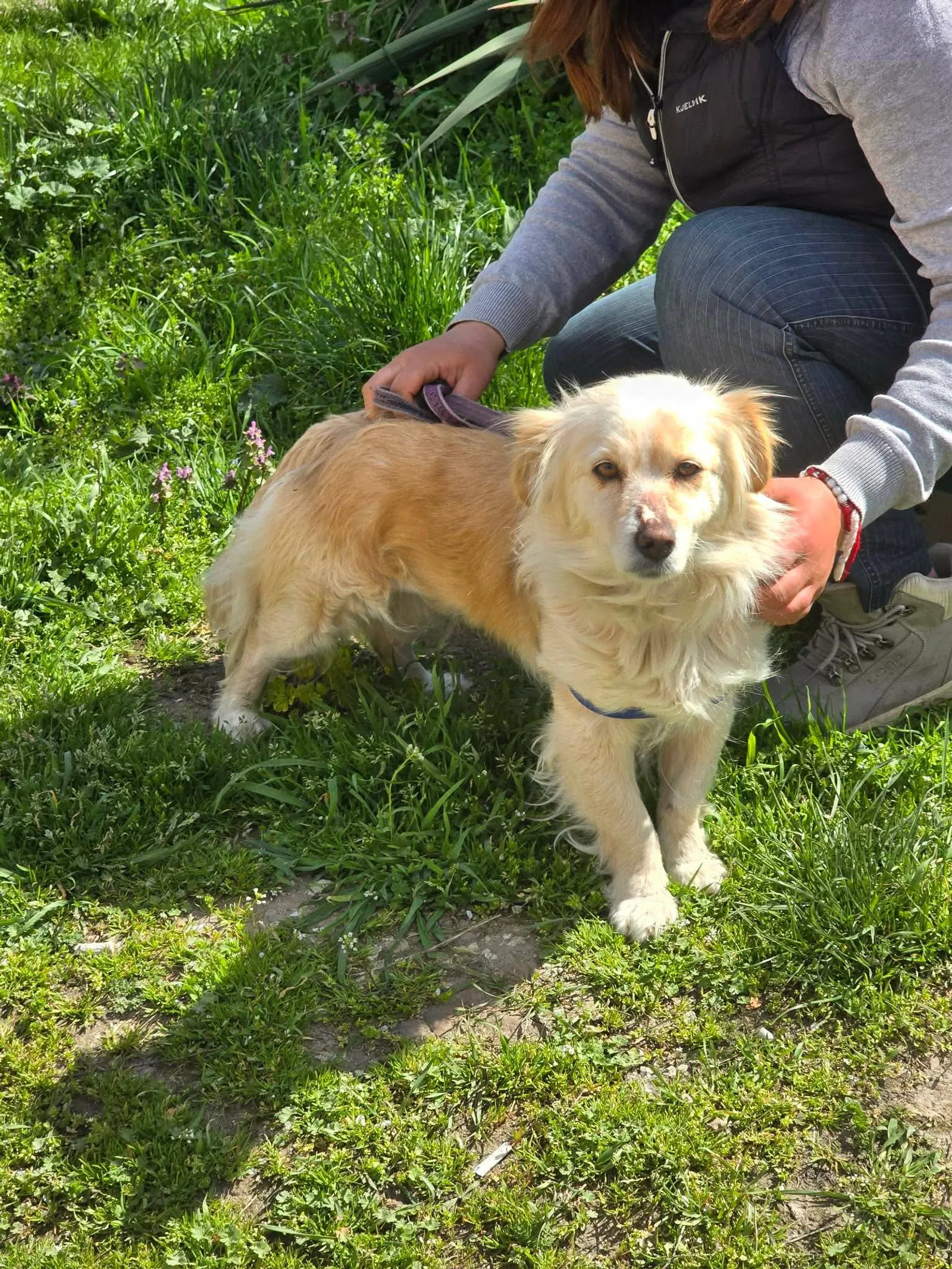 Lisa, Bild 19