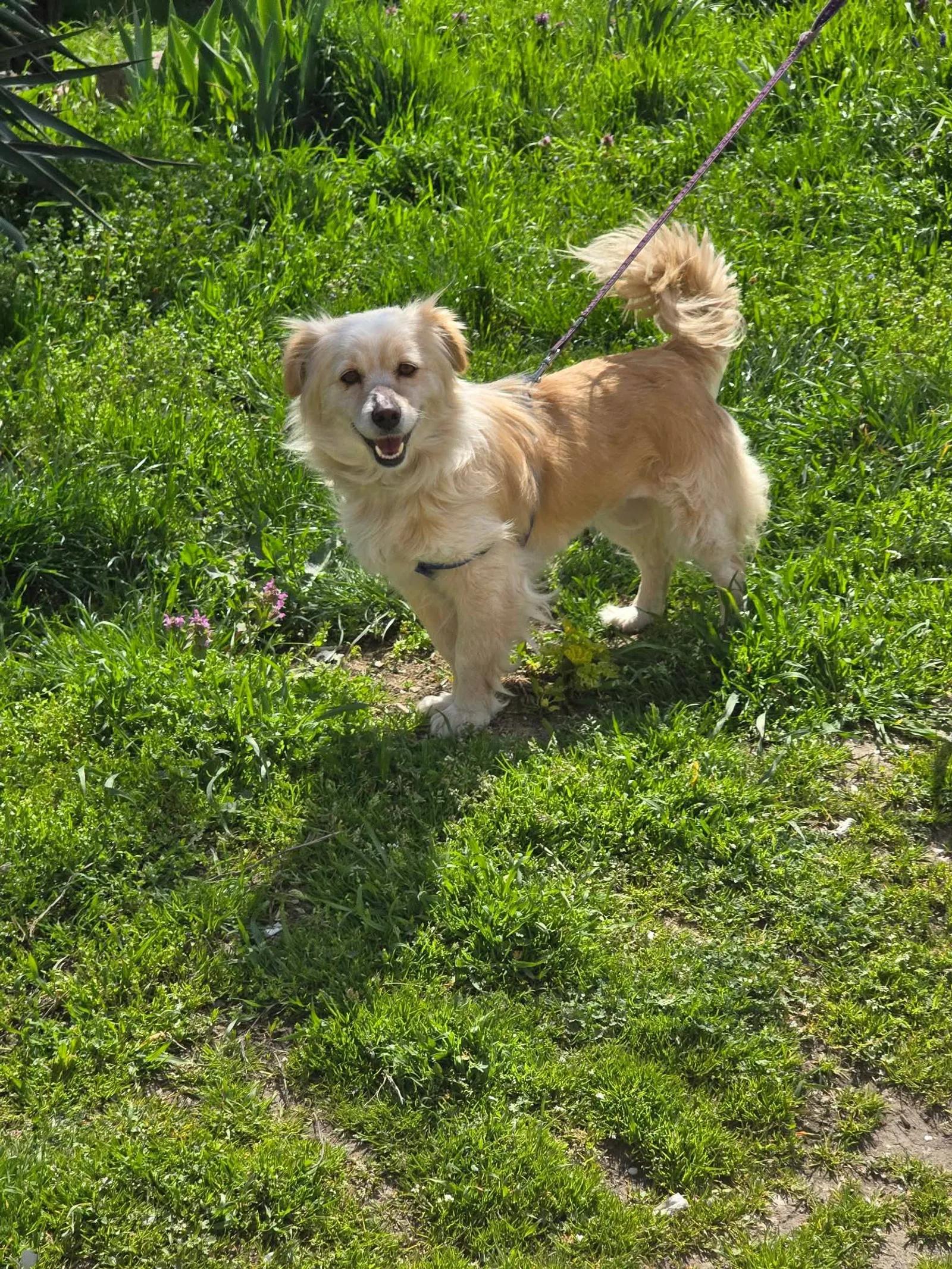 Lisa, Bild 22