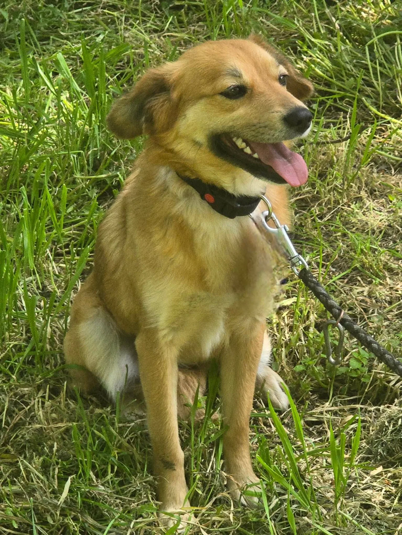 Radina, Bild 9