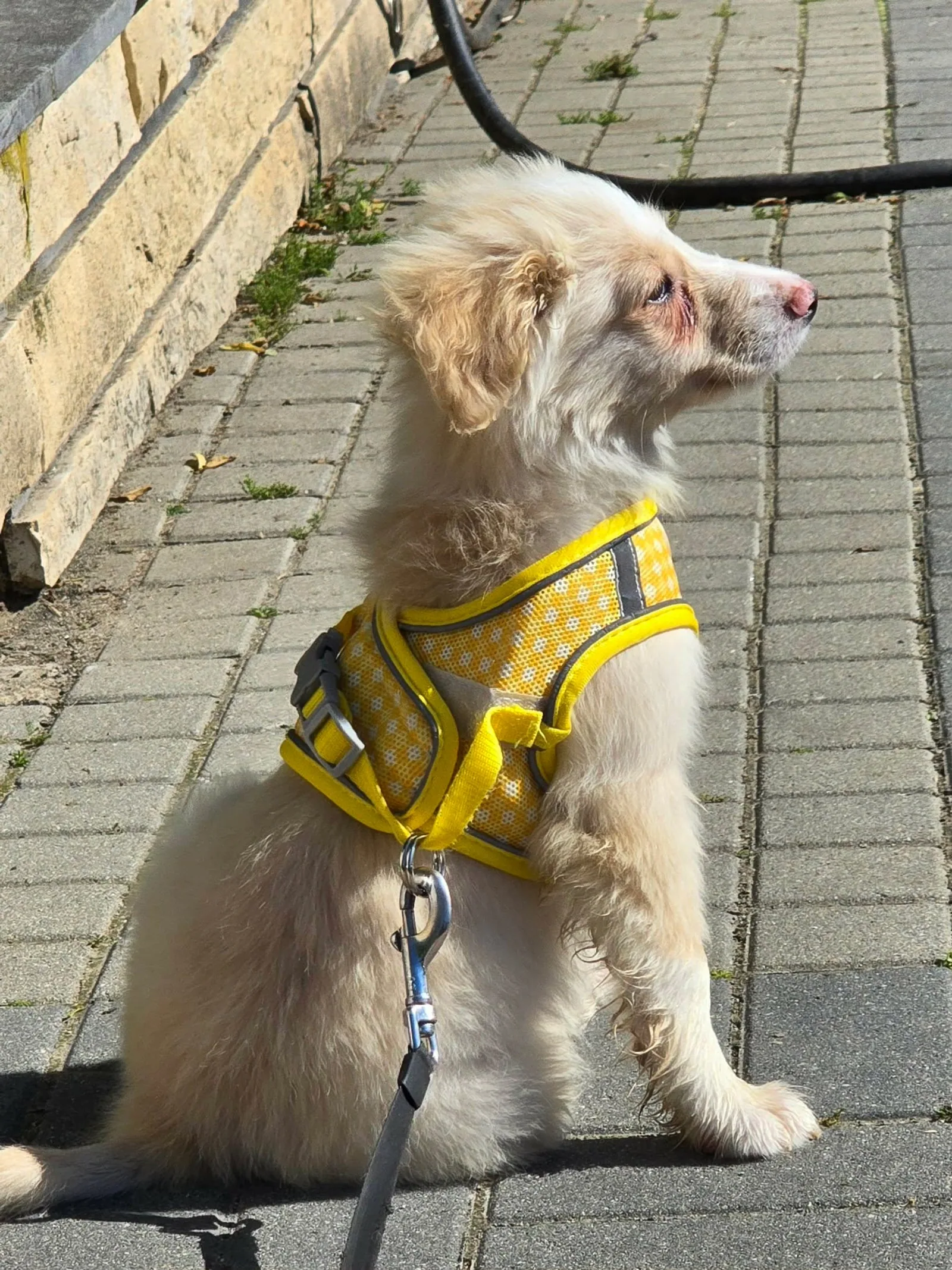 Maya, Bild 6