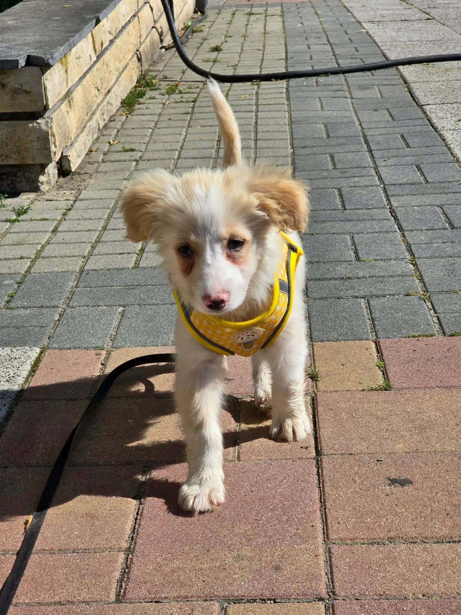Maya, Bild 11