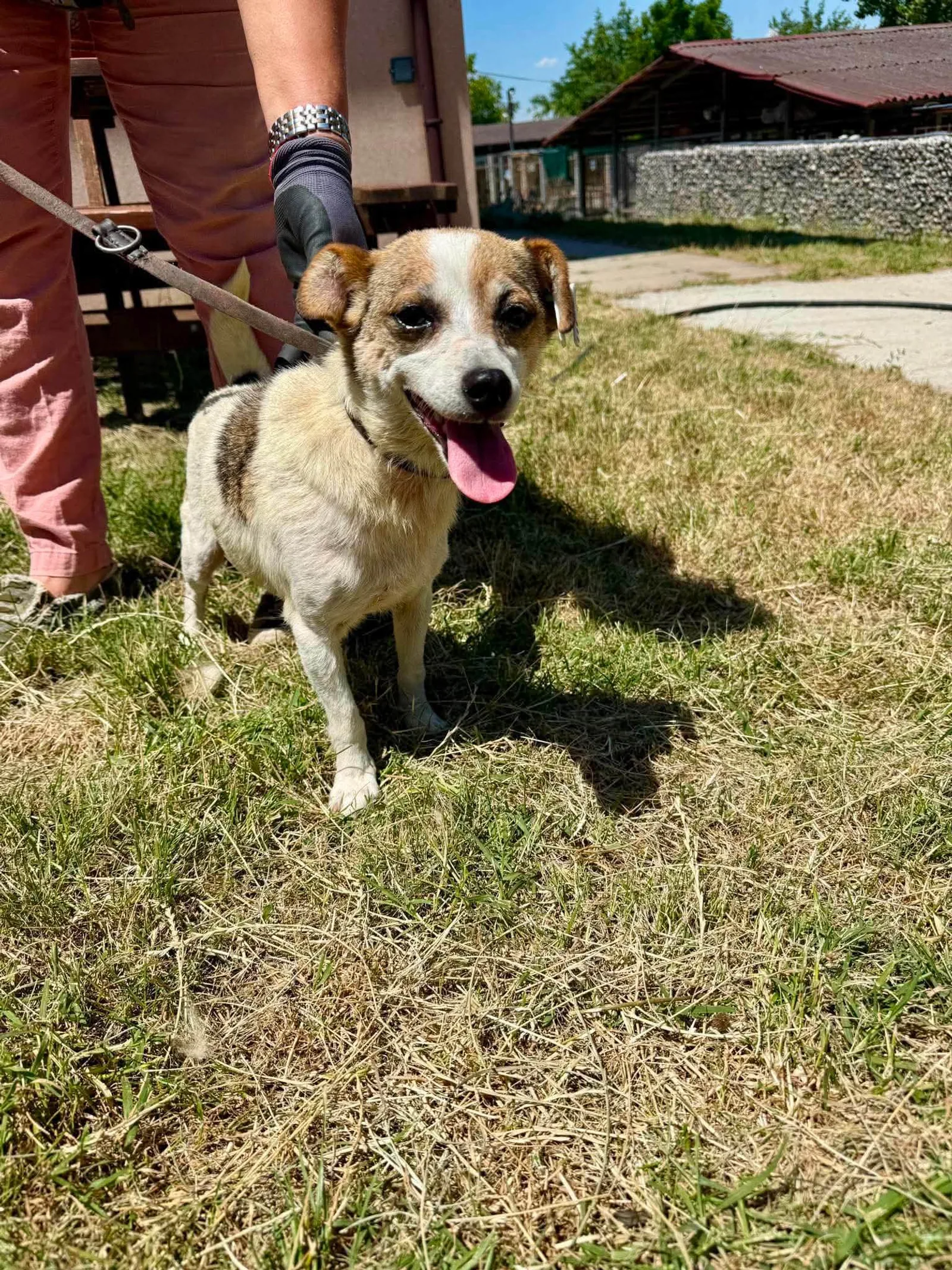 Cookie, Bild 2