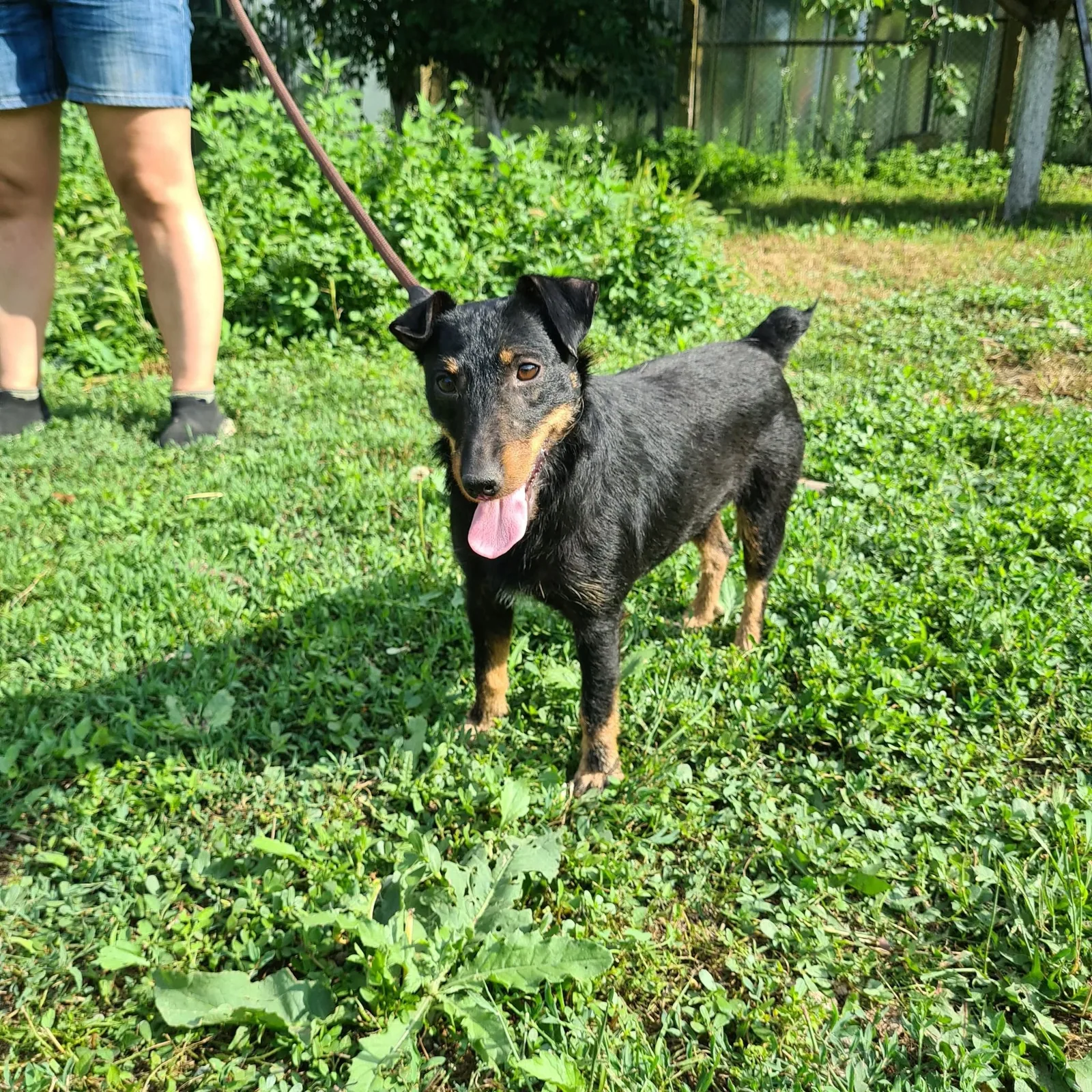 Sherry, Bild 6