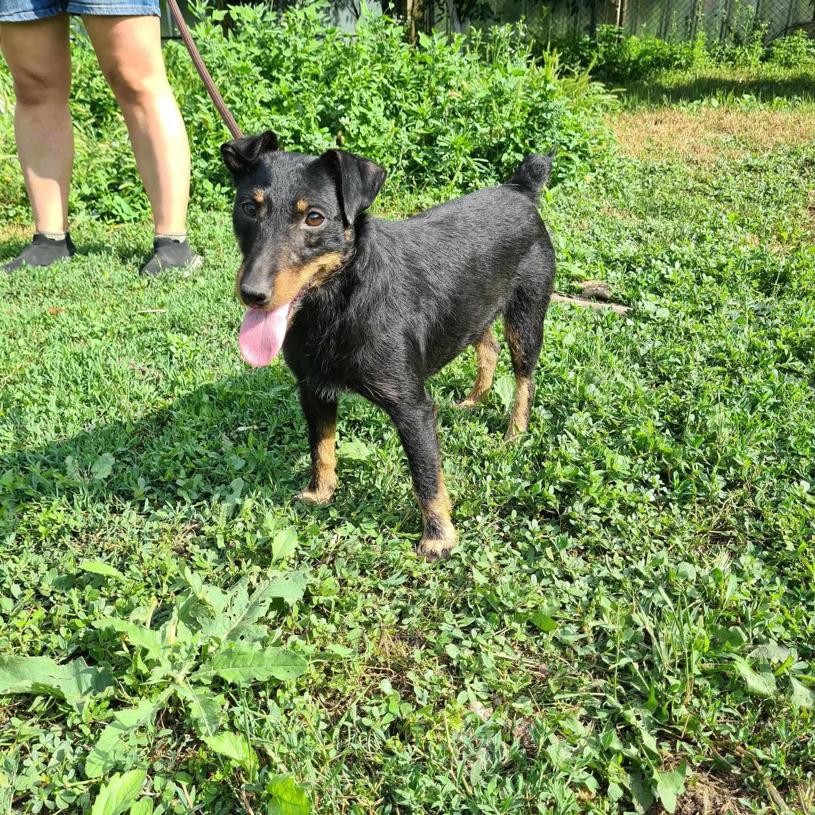 Sherry, Bild 5