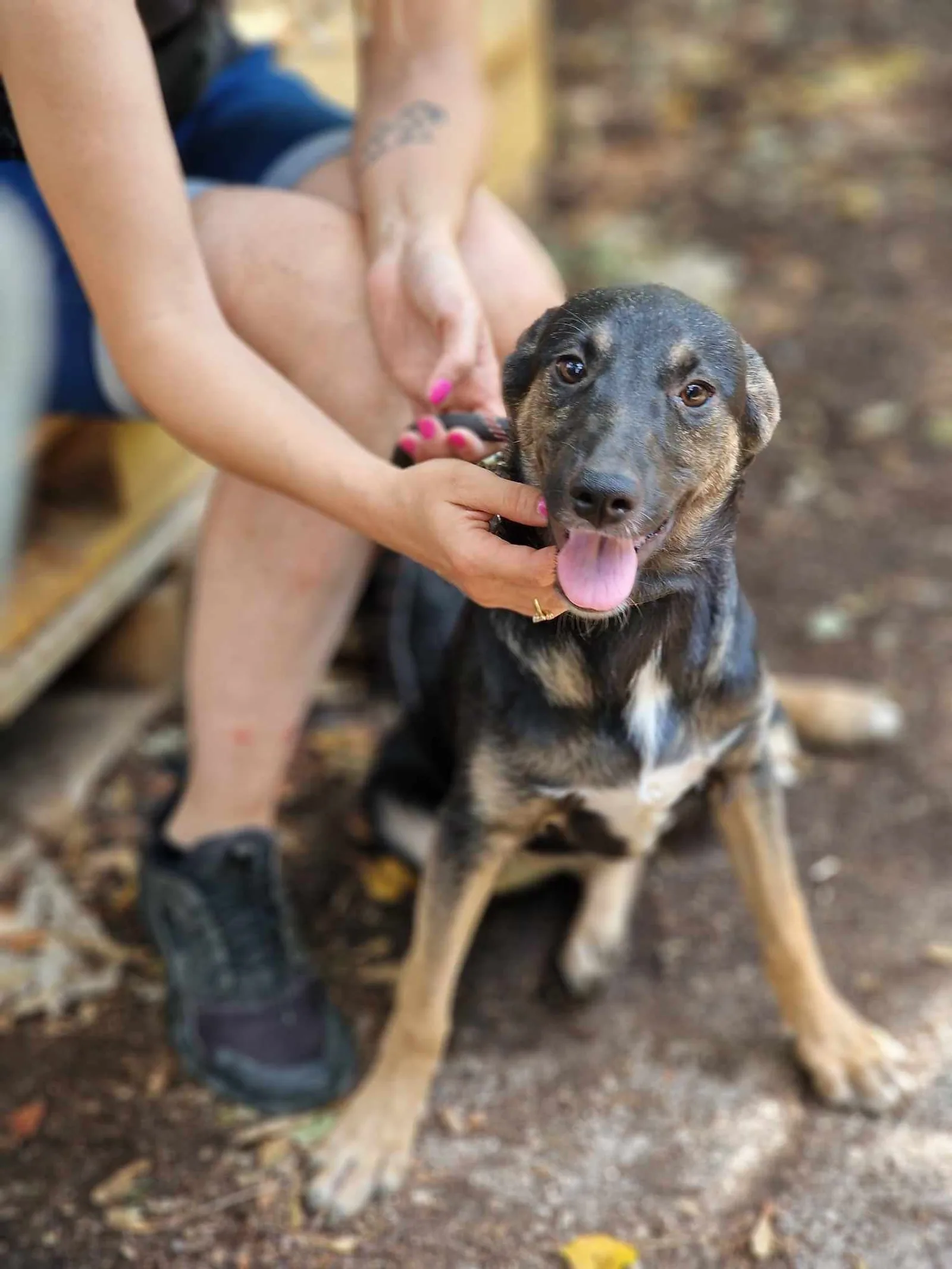 Kira, Bild 3