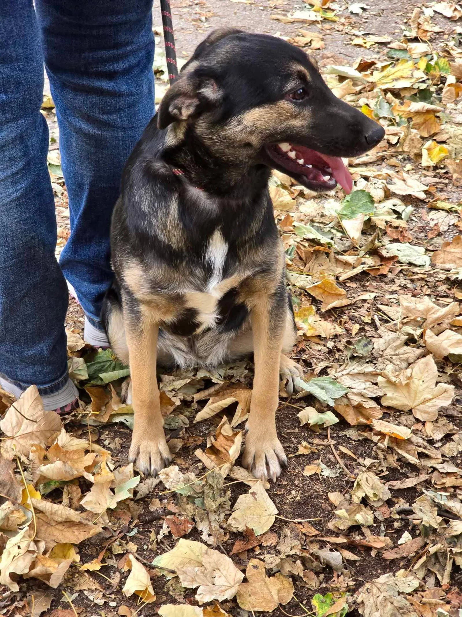 Kira, Bild 20